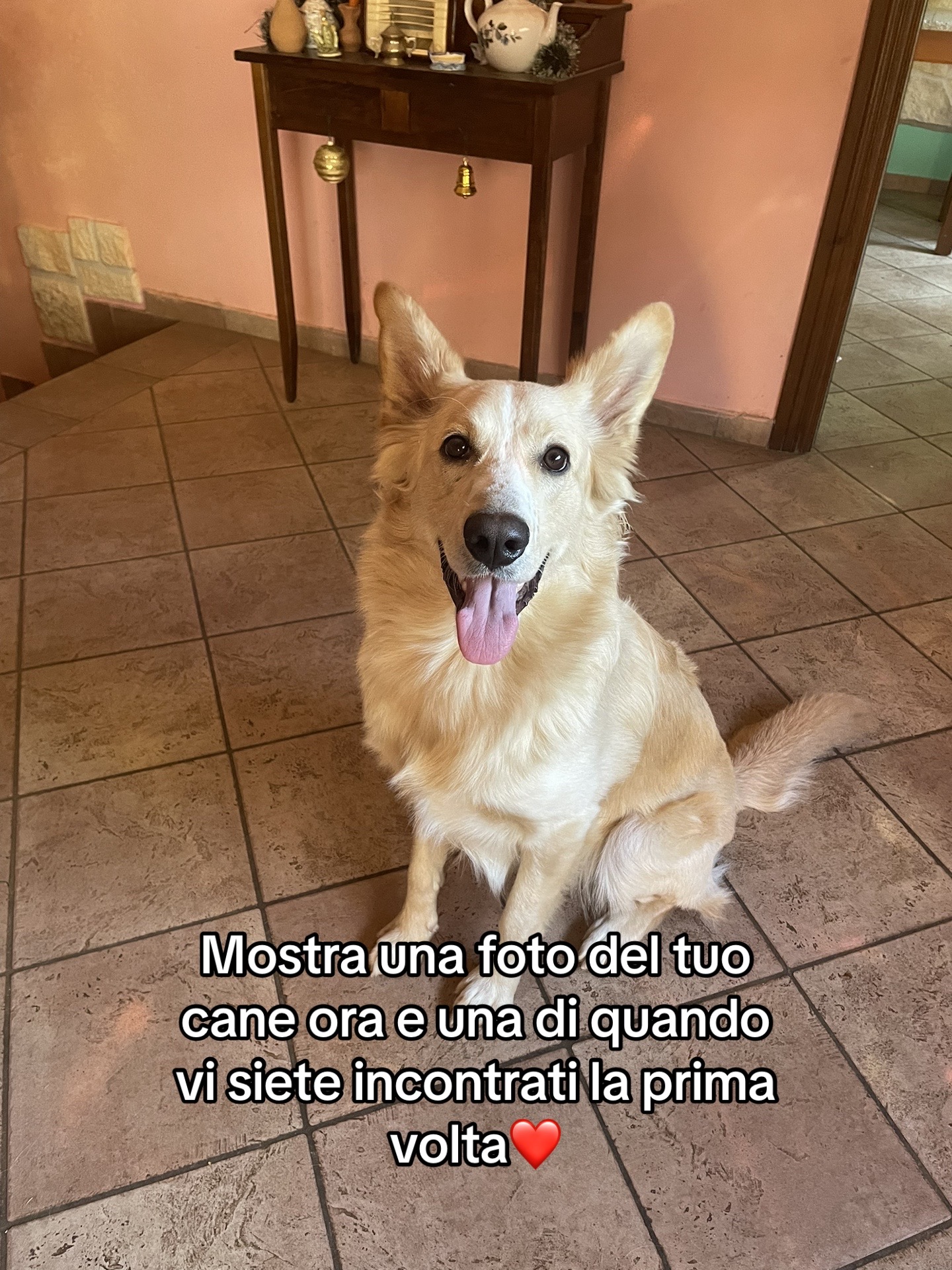 @camilla🧚🏻♀️