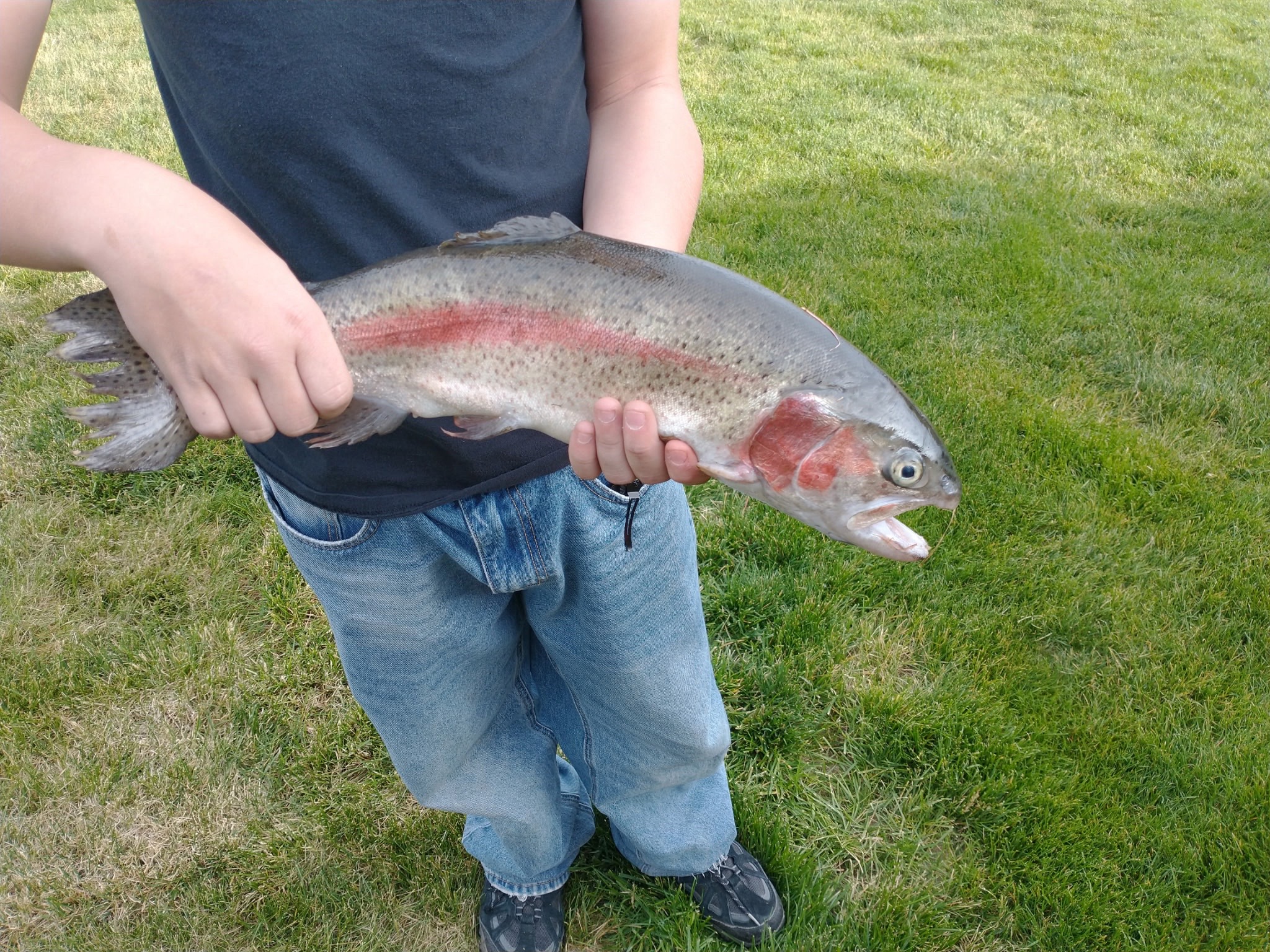 @Bite my shiny metal ass