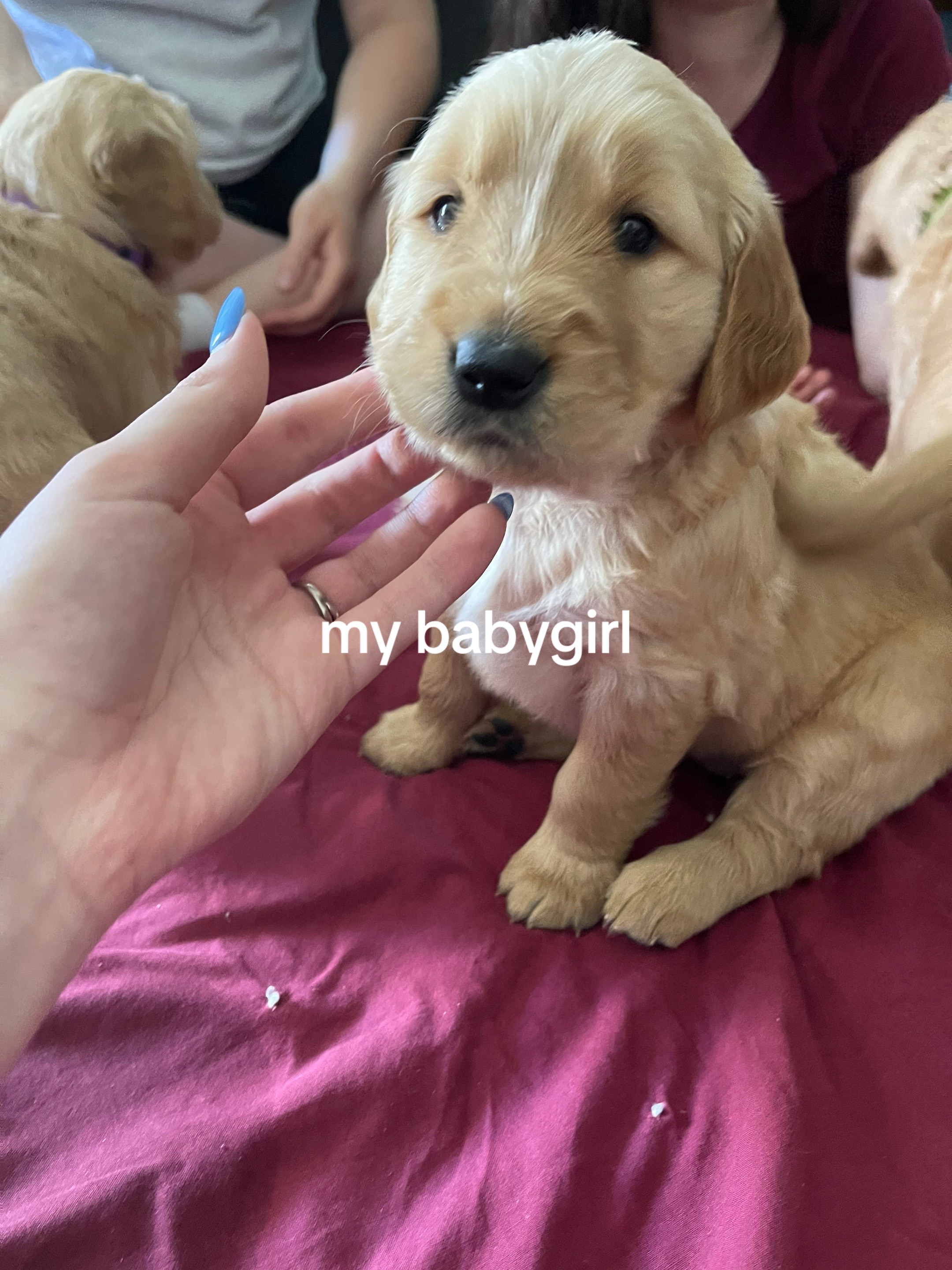 @sally mae💛