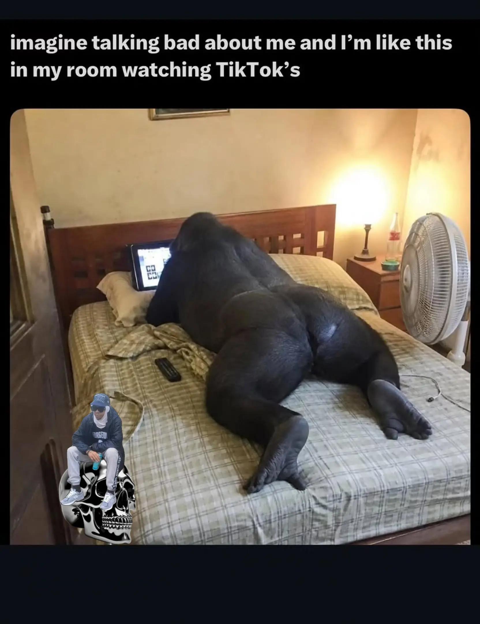 @Way2CalculatedDeeno