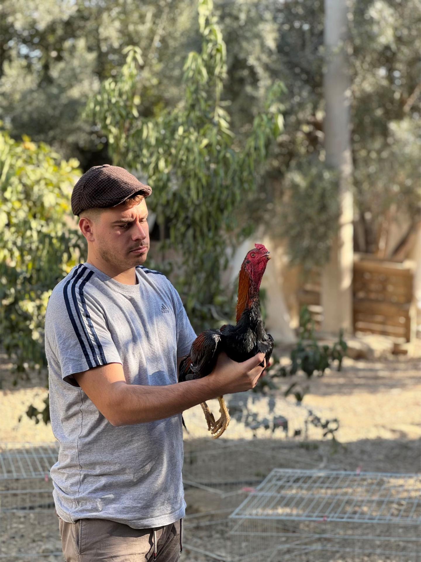 @Anıl Uyar