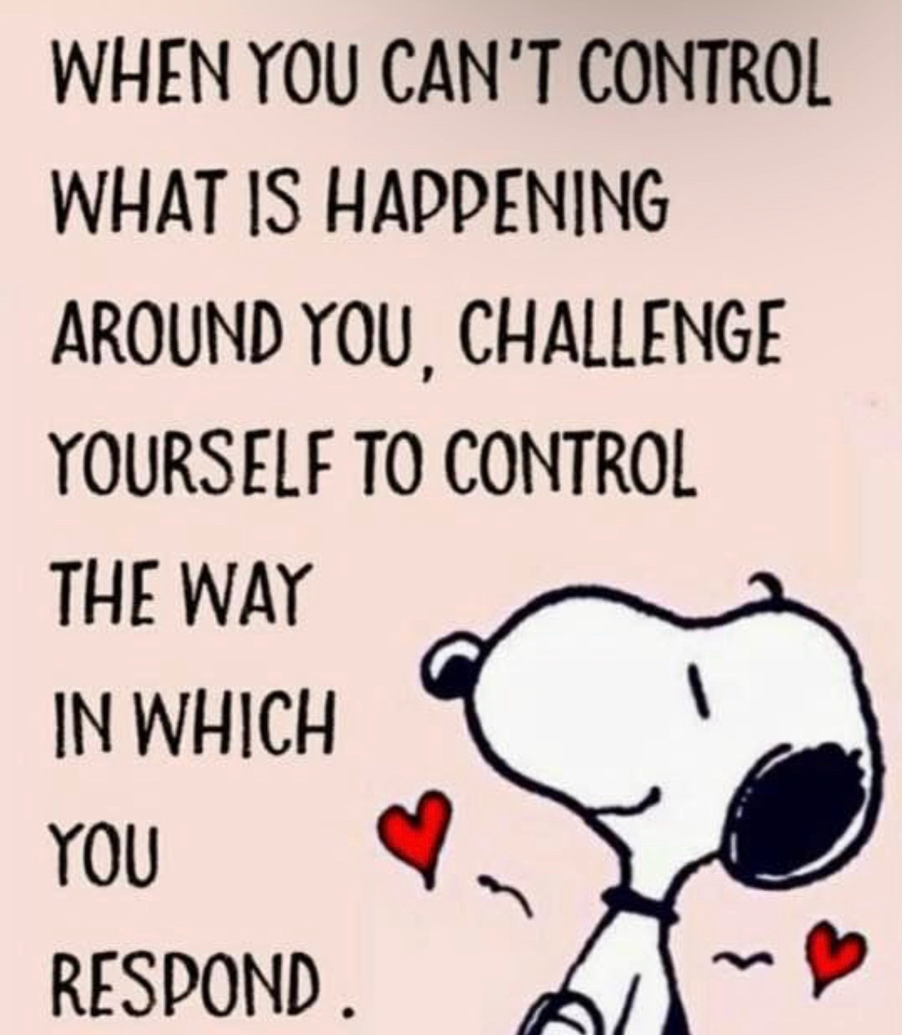 @Justine Conteh MD Realtor