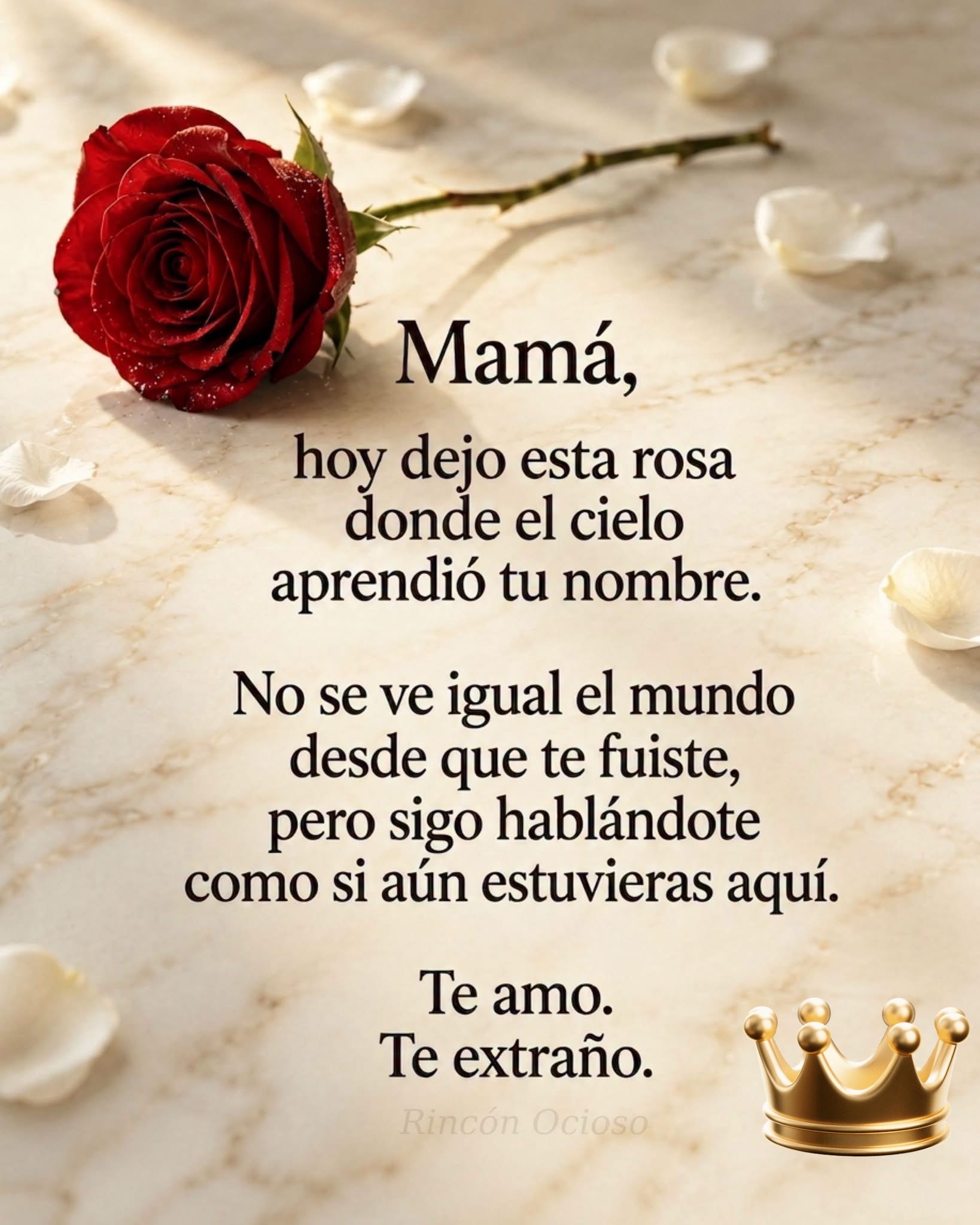 @Leoncito❤️