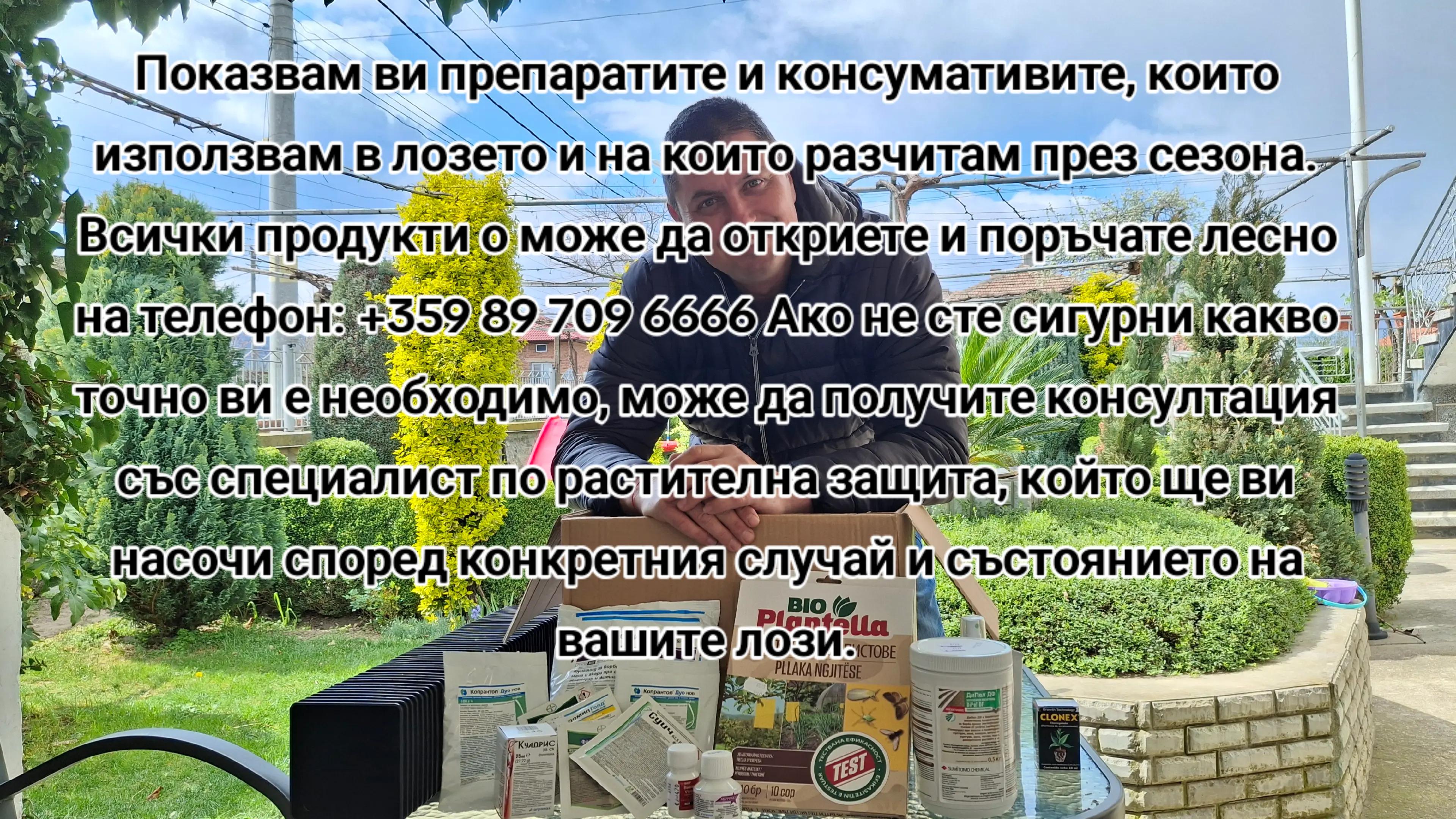 @Минчо Танков