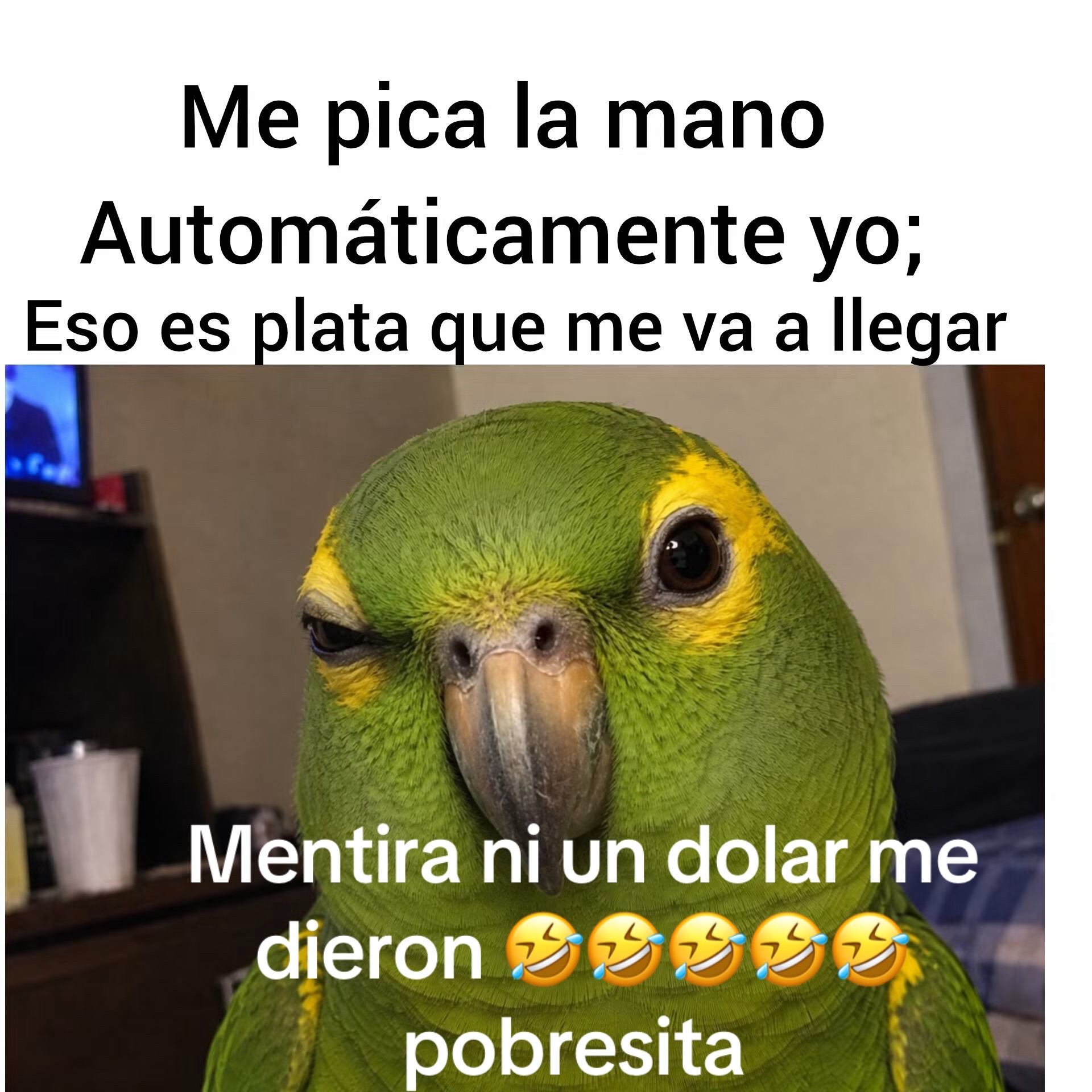 @Chapinsita Trinidad (502)