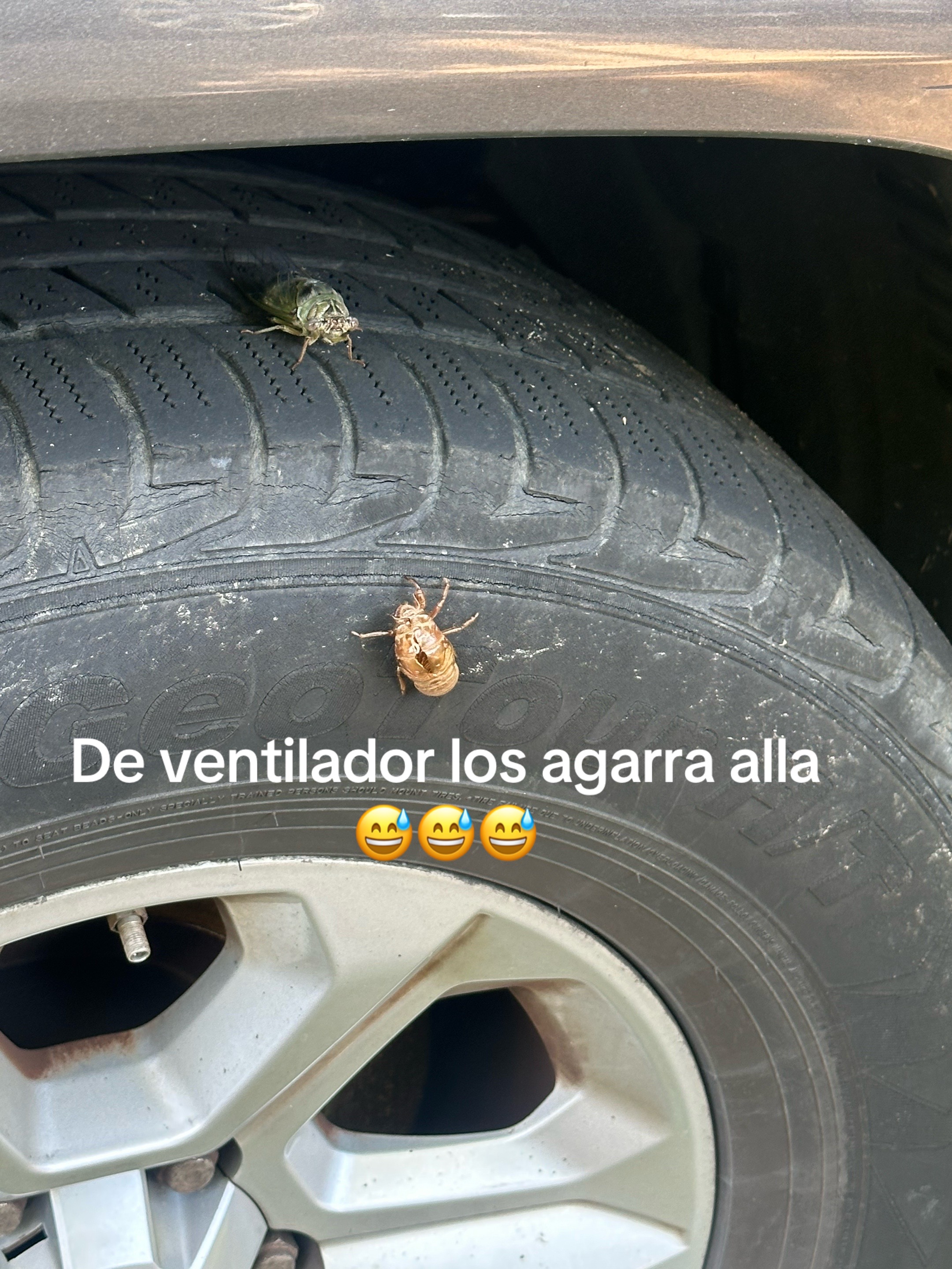 @OCHOA 😏