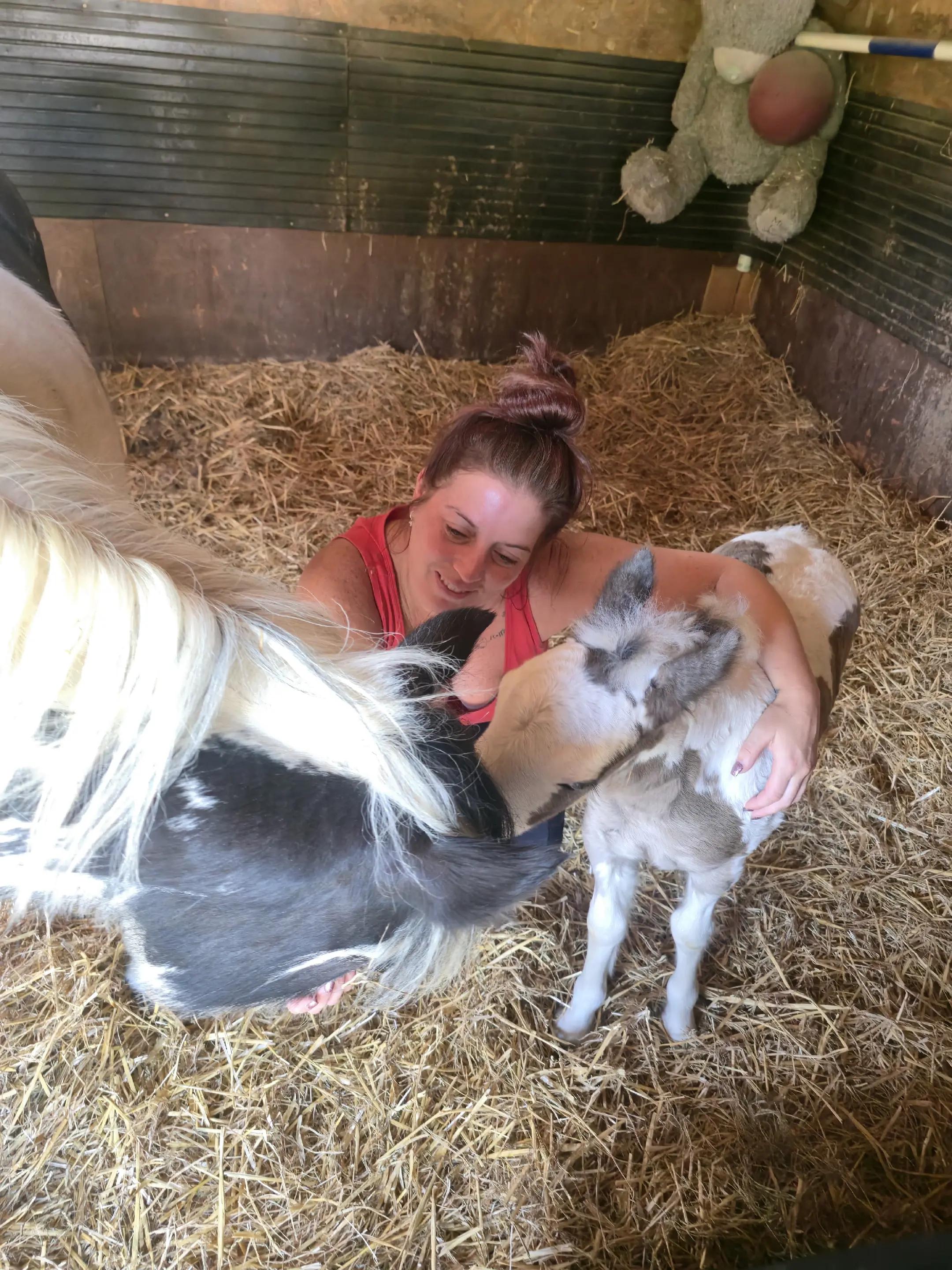 @Alfie & Daisy-May 💙🐴❤️🌻