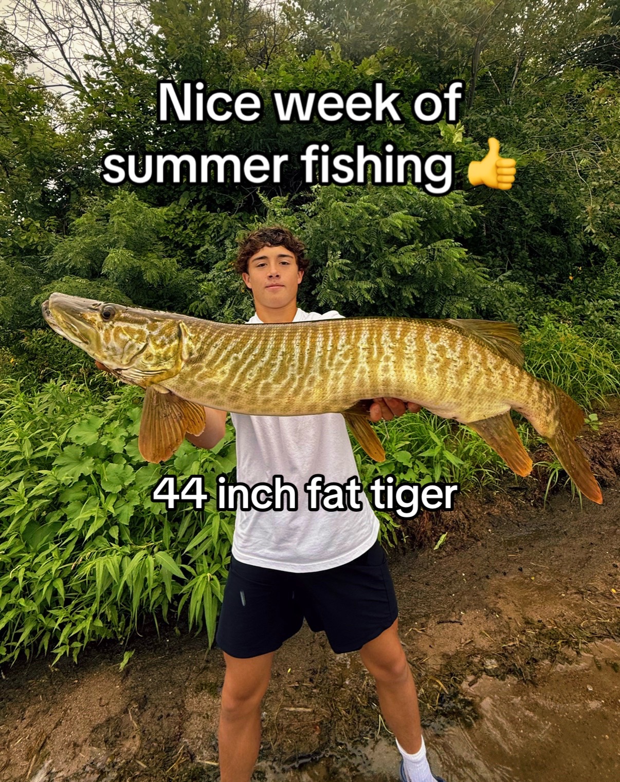 @House of Fishing