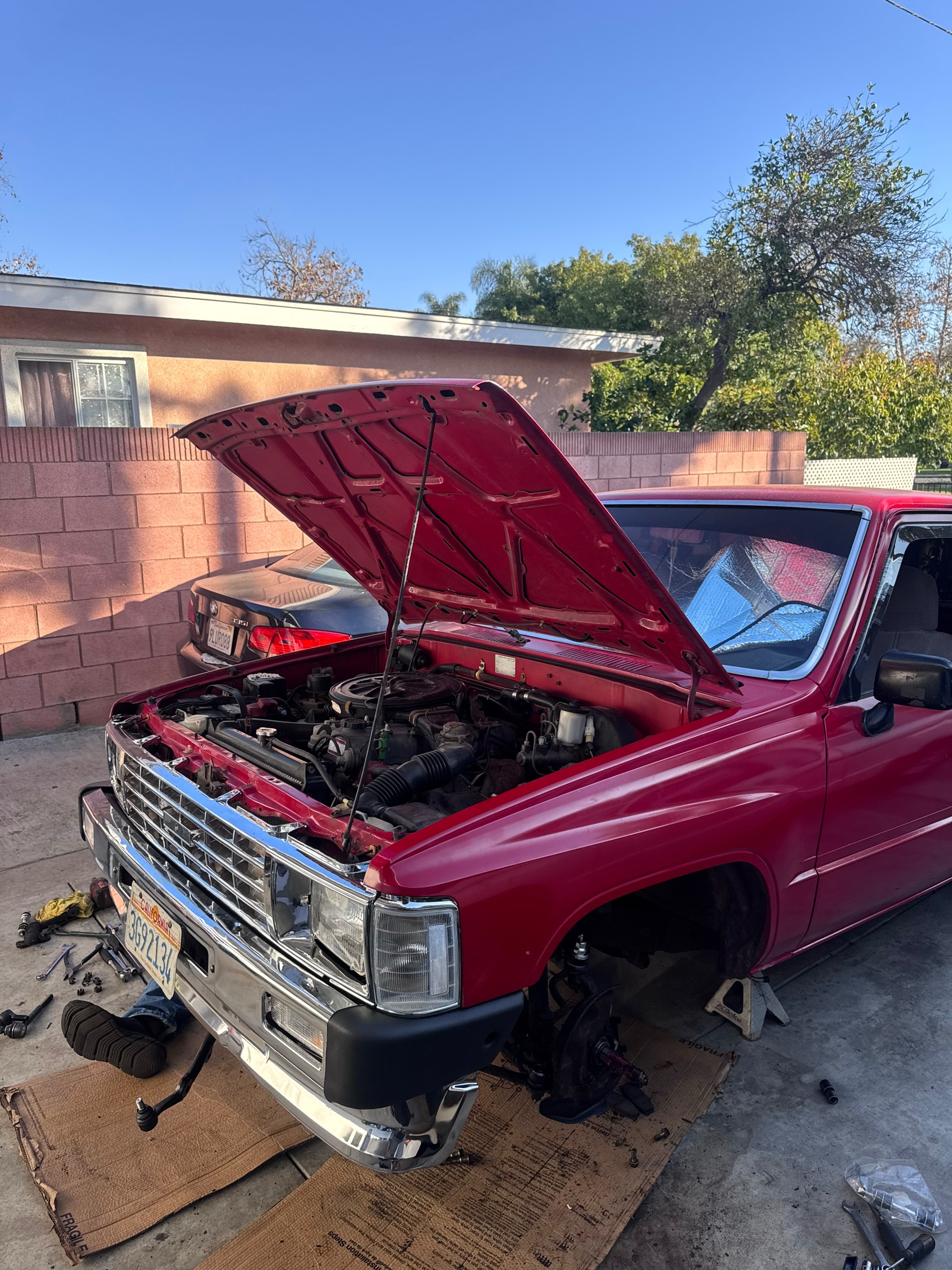 @castillo&rsquo;s_whipz