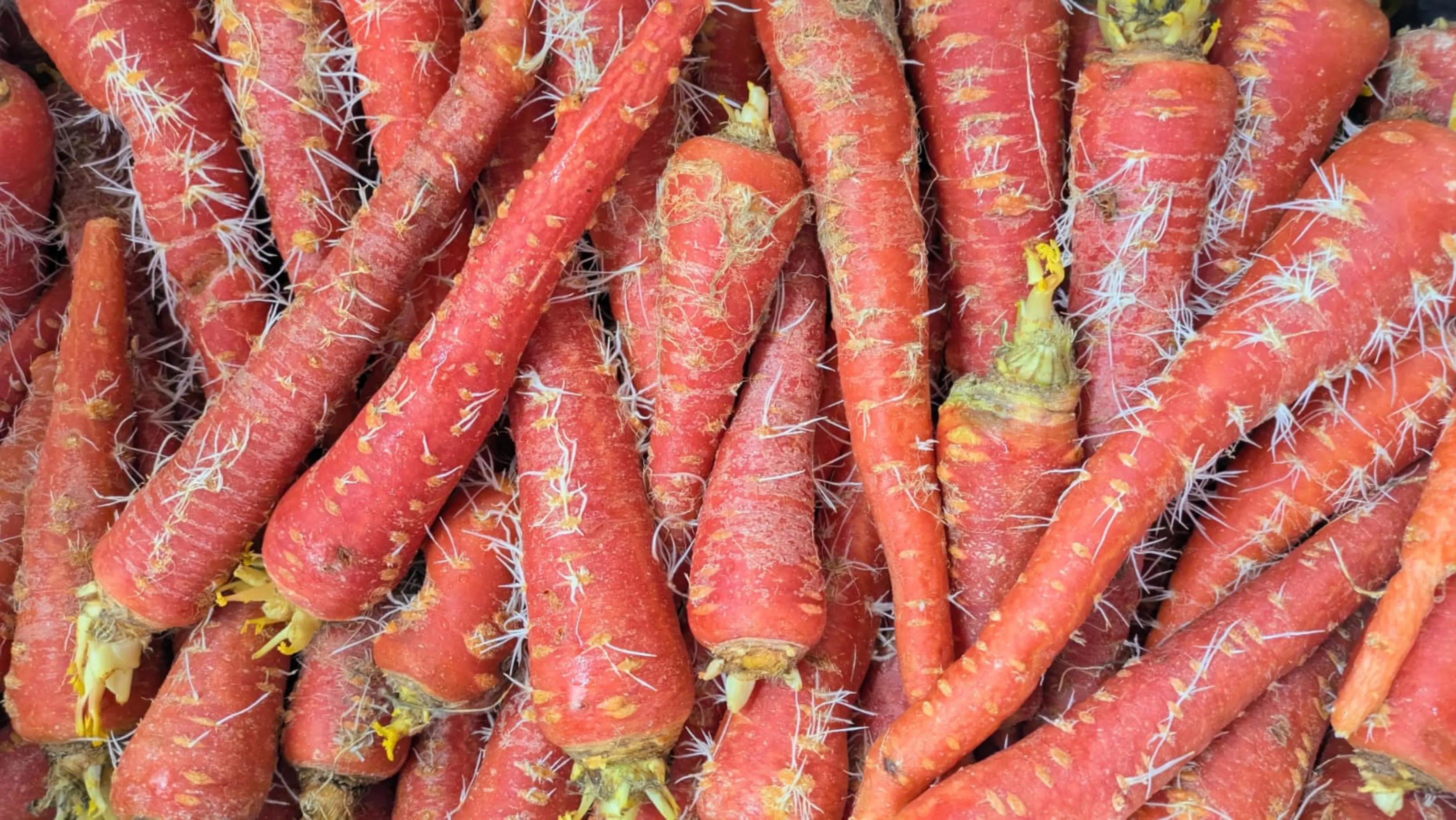 @Ez Indian grocery