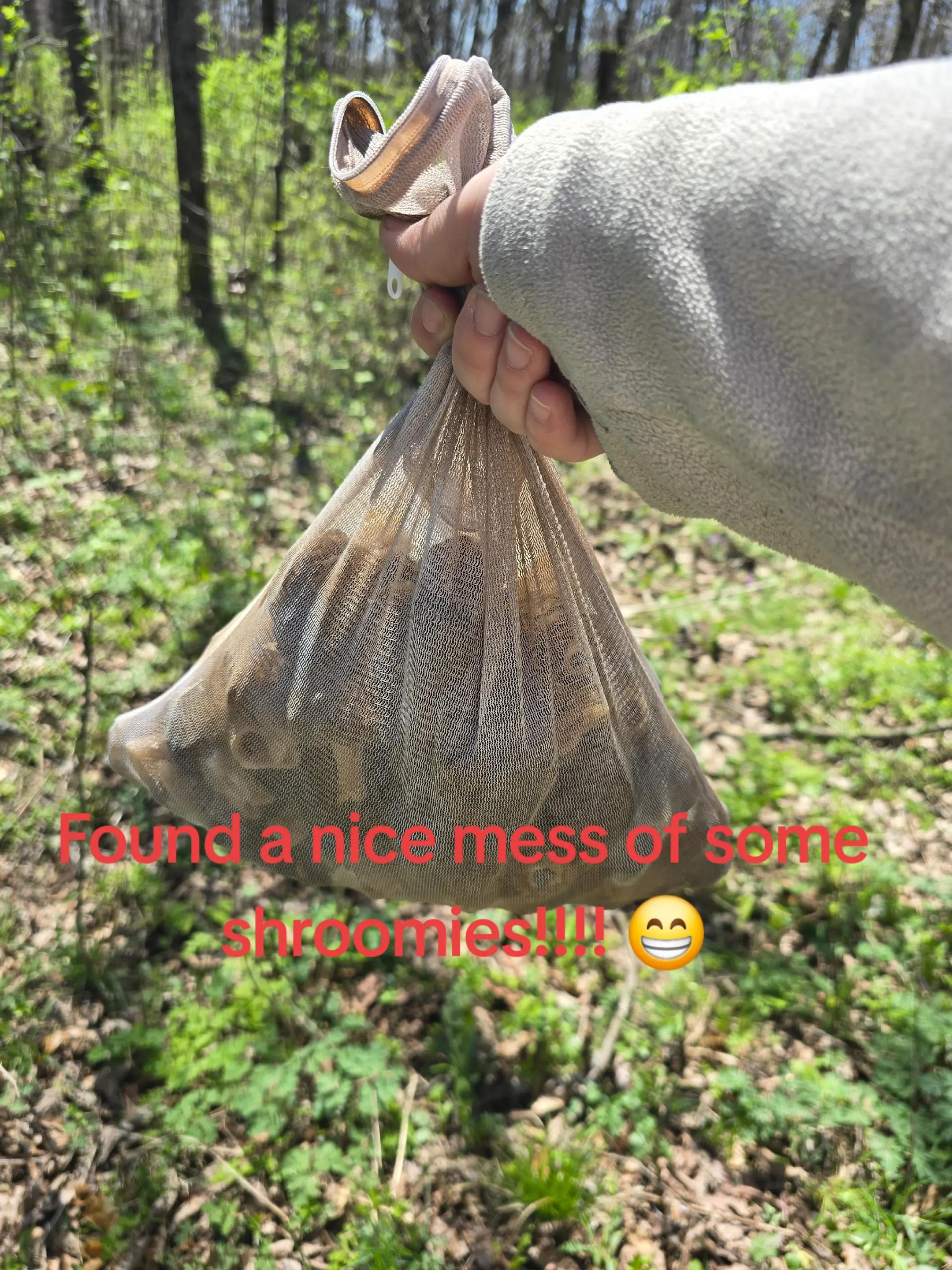 @Tamra