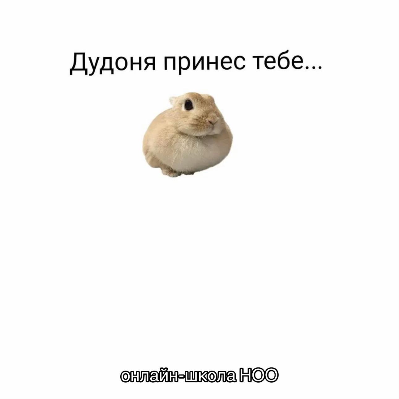 @Асиф Агаев / Биология ЕГЭ