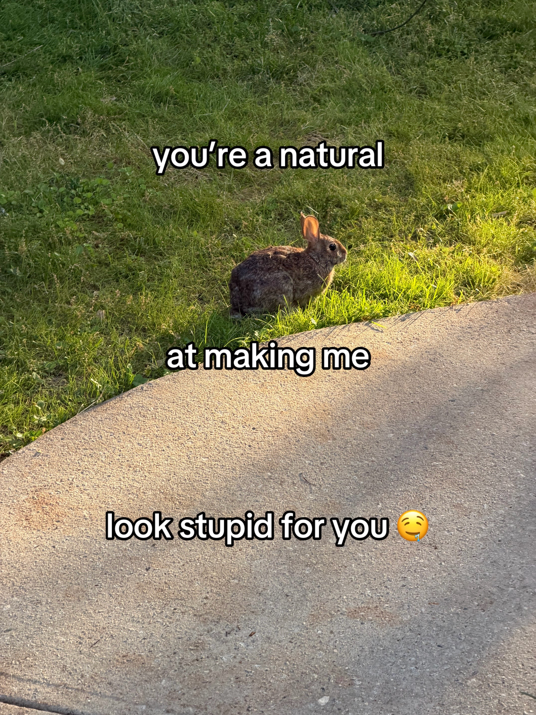@larry