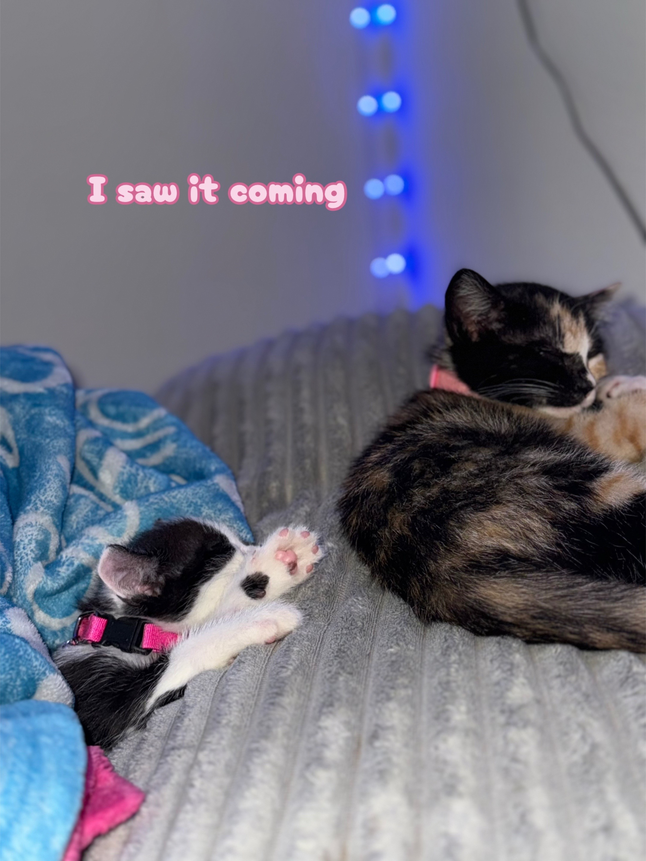 @Cece🥰
