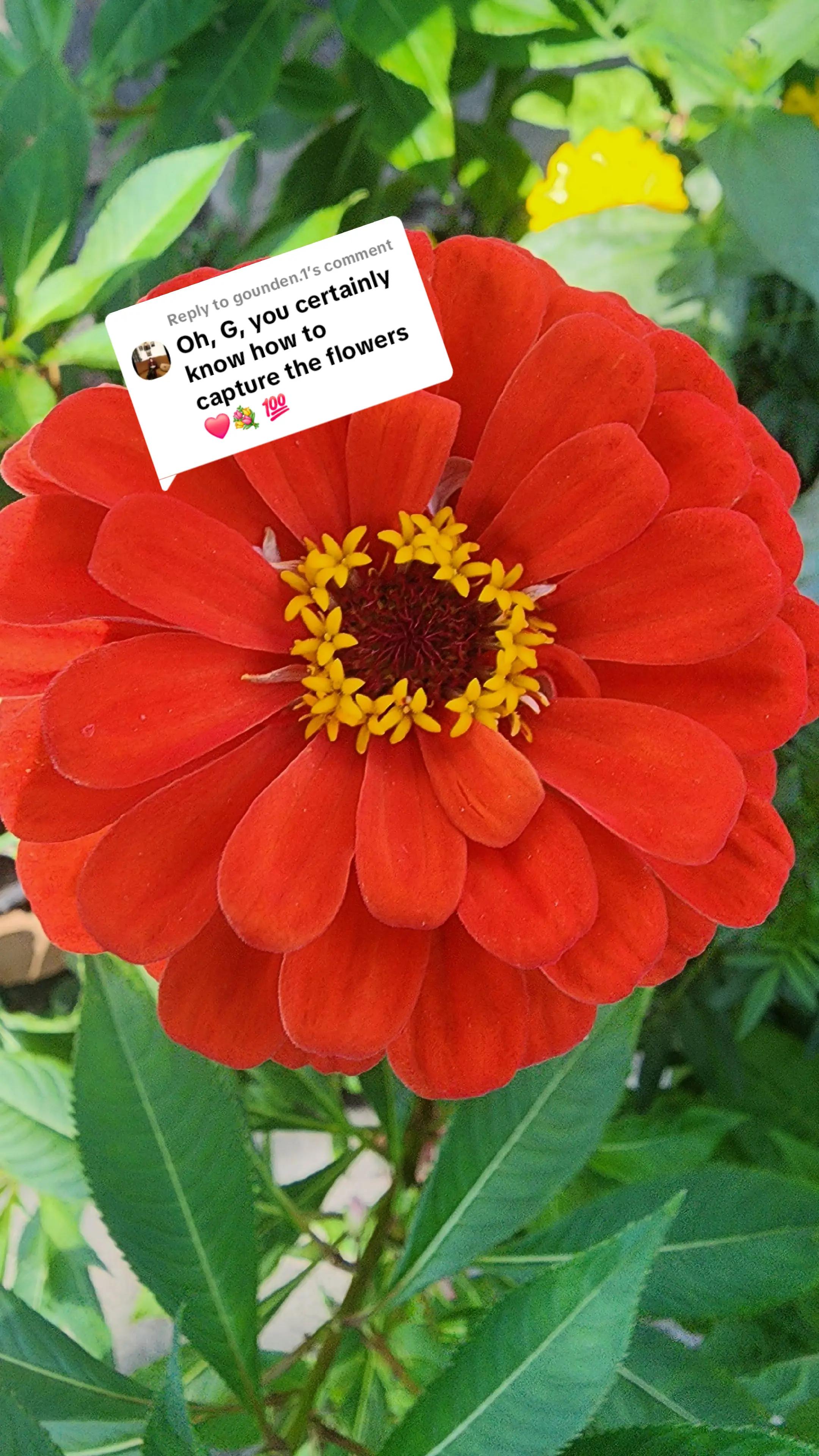 @Mr. G StillSmilingAnyway