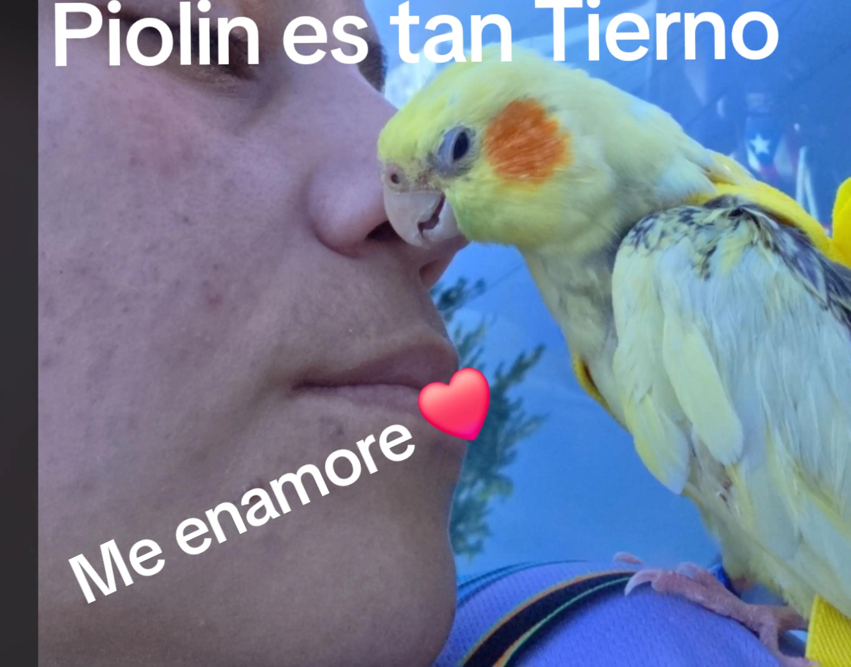 @🤍✝️🇵🇷Tammy🇵🇷✝️🤍