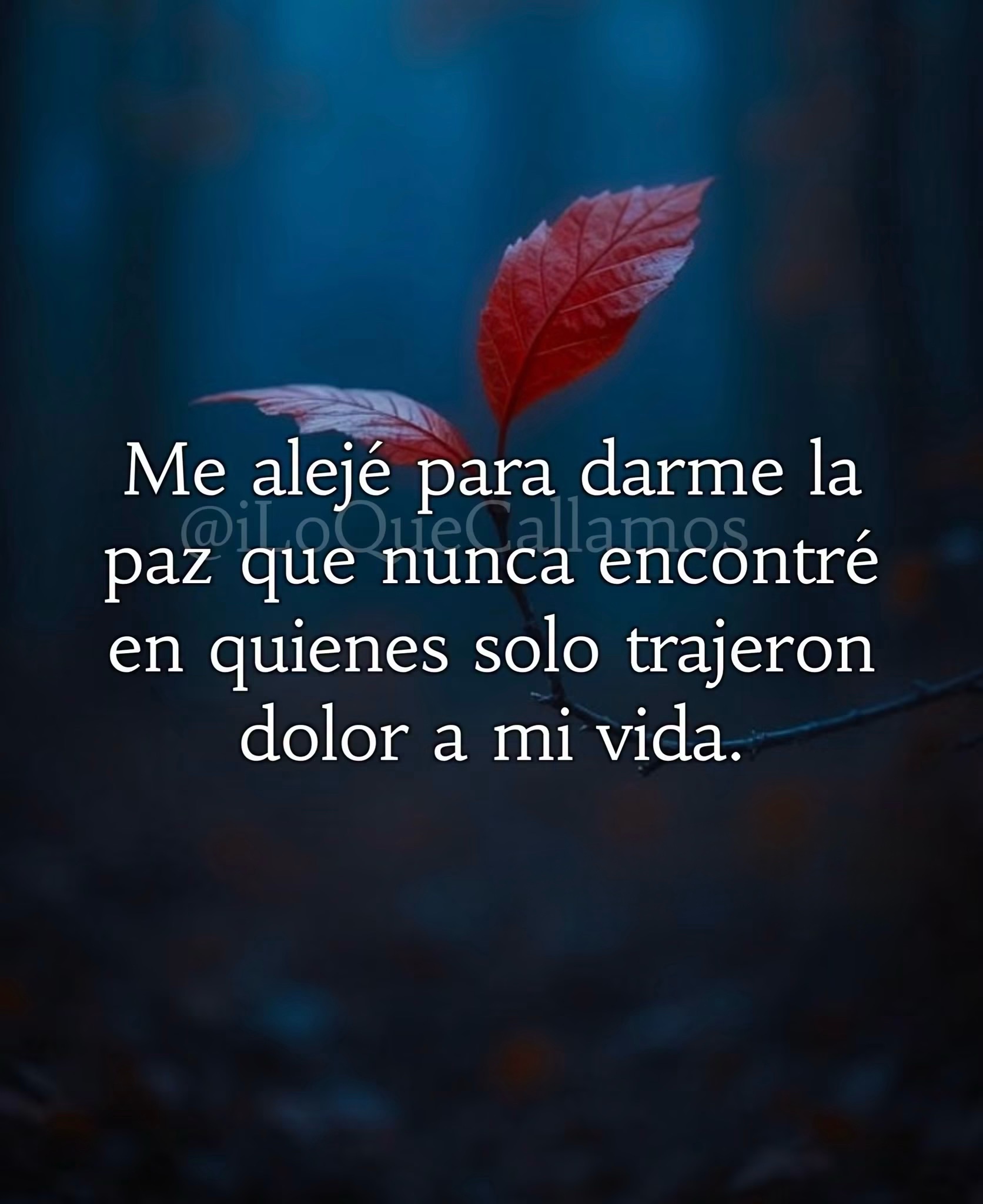 @Antony 563