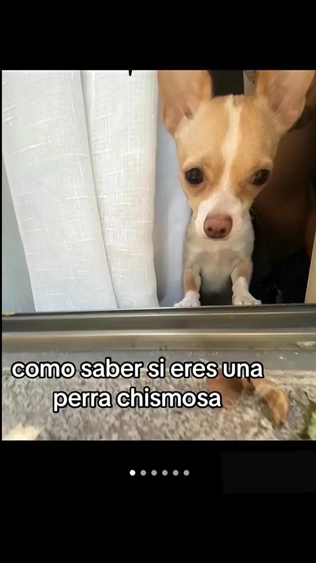 @jimena.LS
