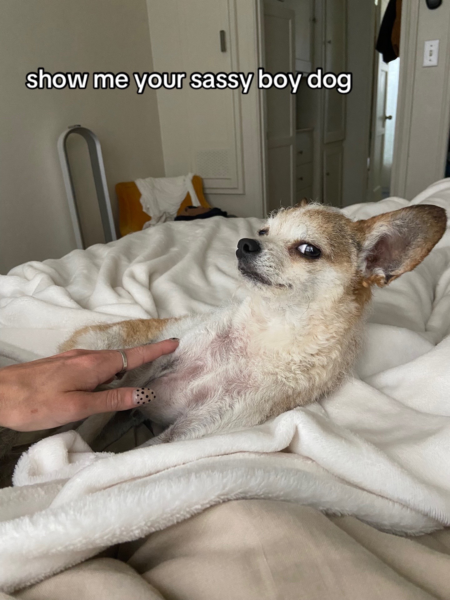 @marika