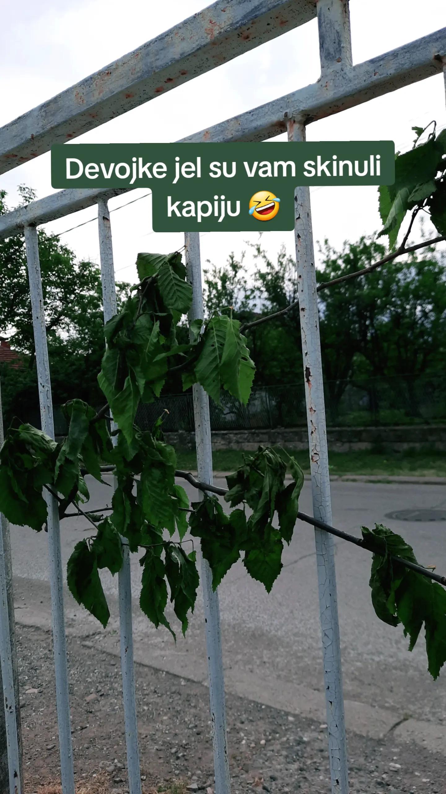@Milica ✨️