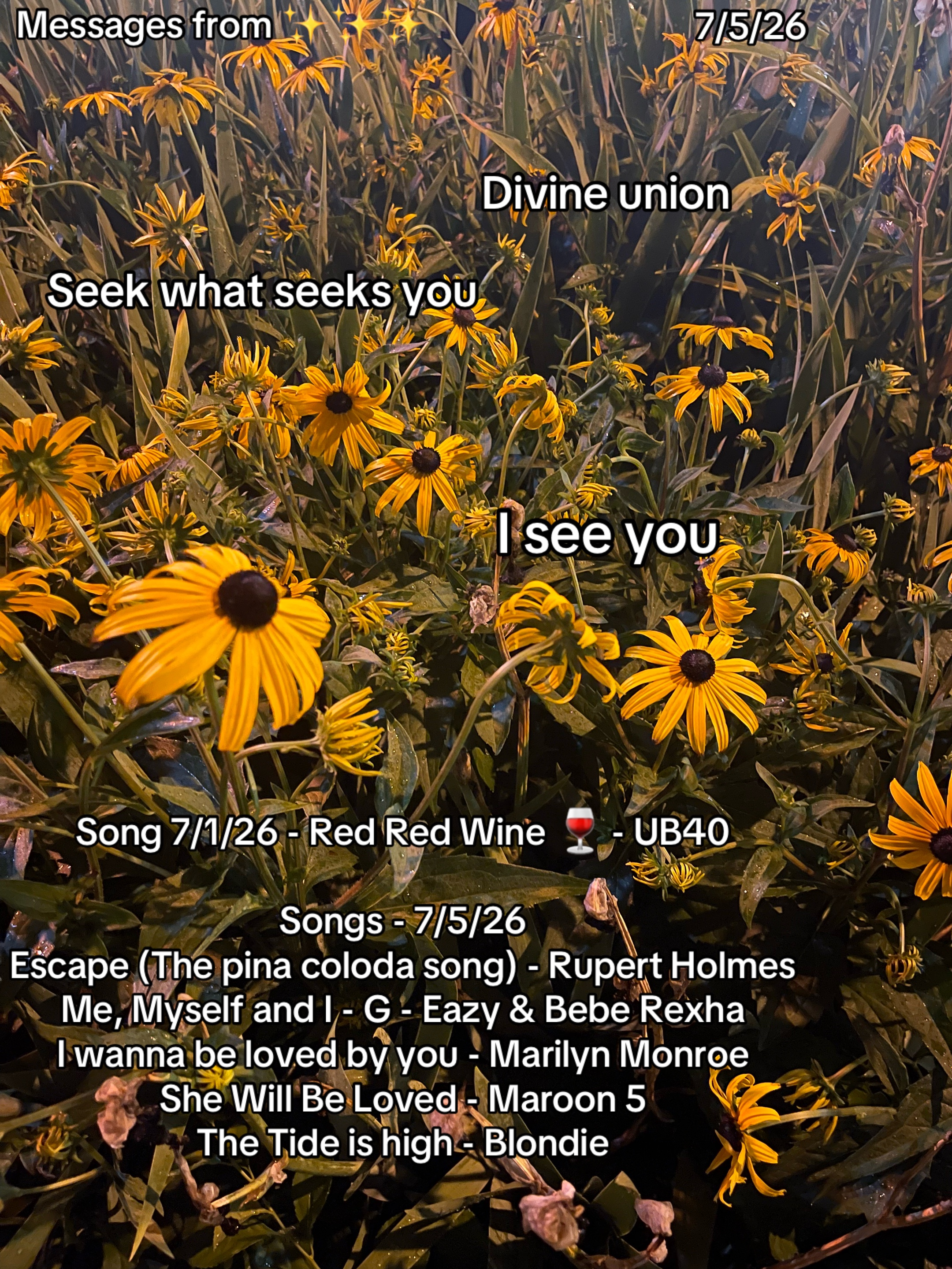 @Heather✨🏳️&zwj;🌈🧿 🐦&zwj;⬛B.✨