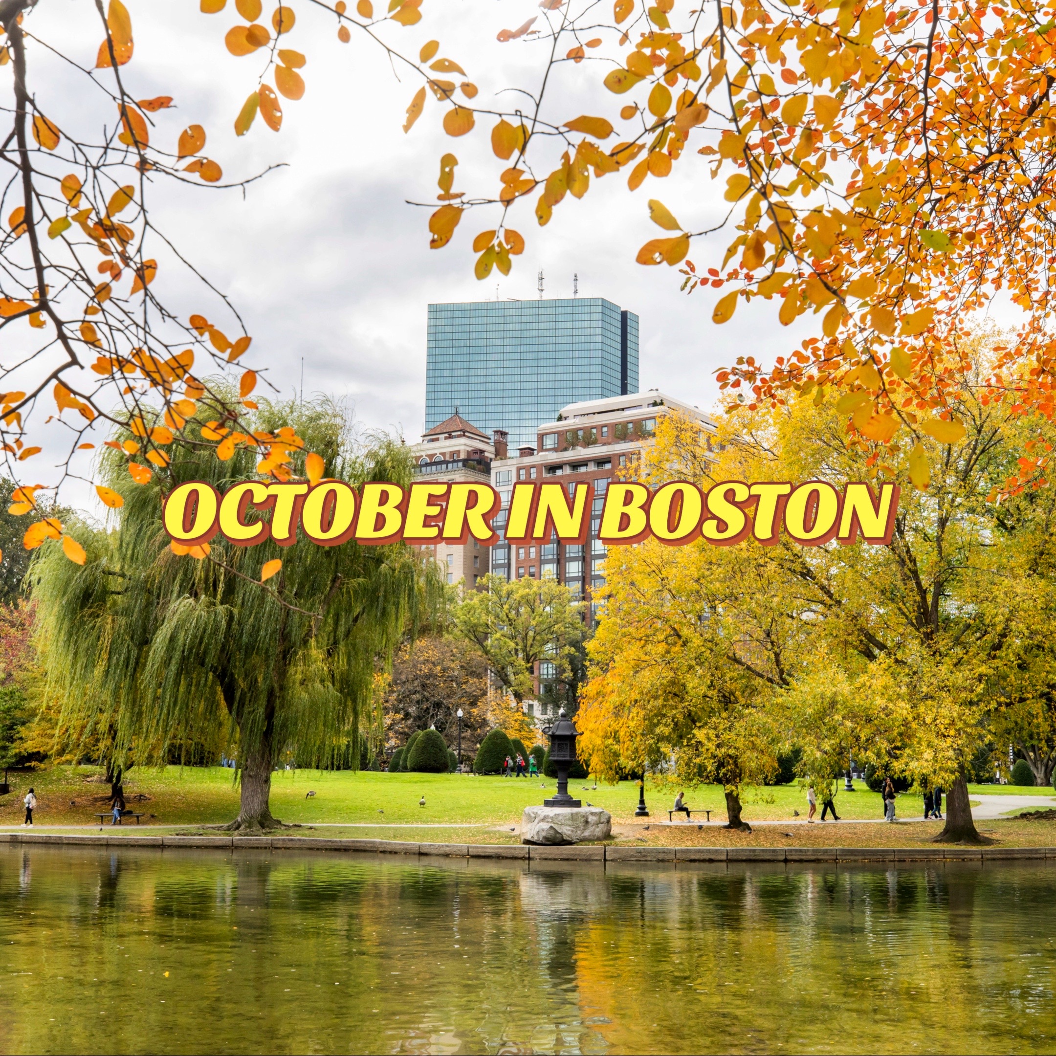 @Meet Boston