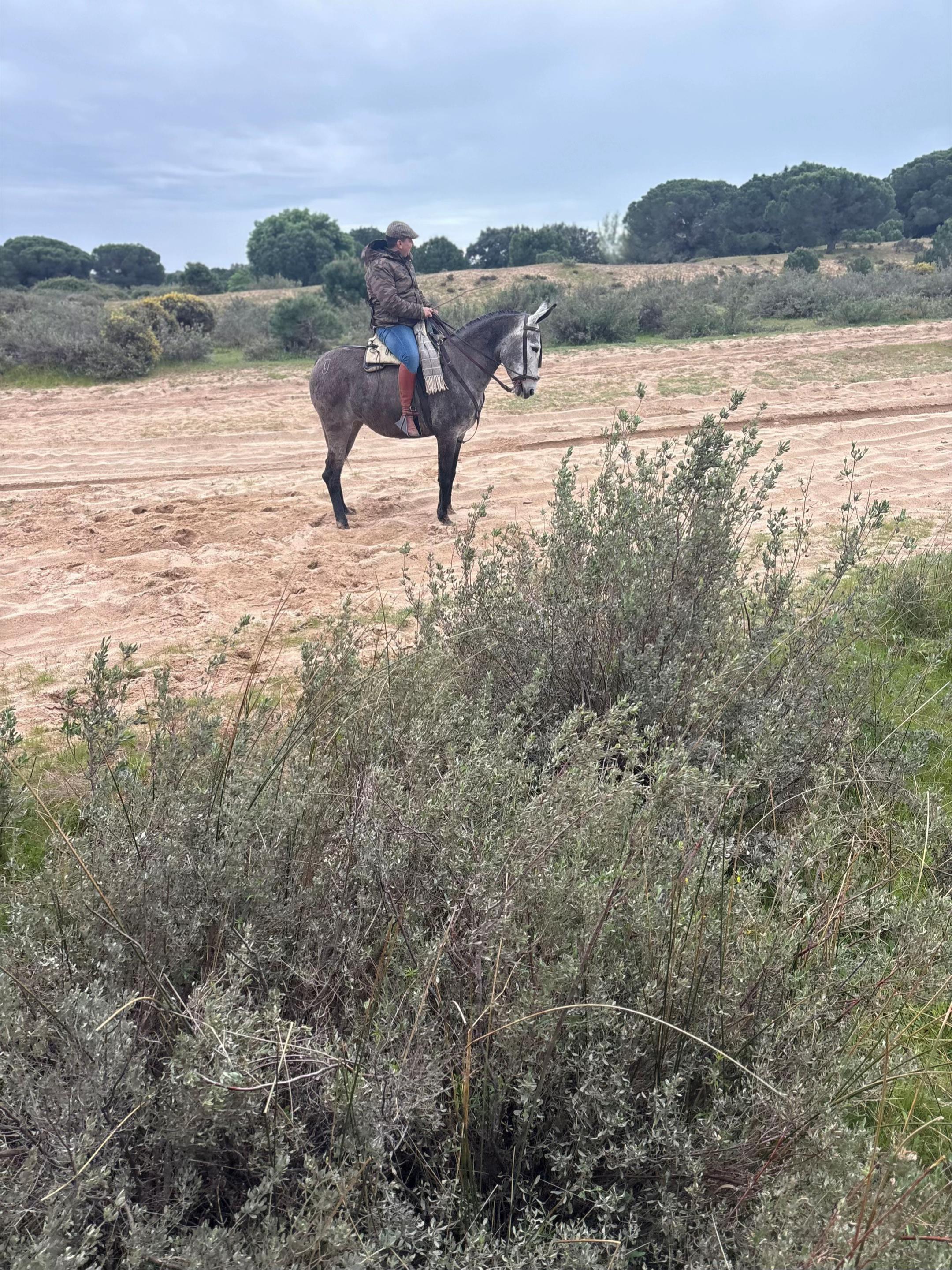 @Juanjo lanza