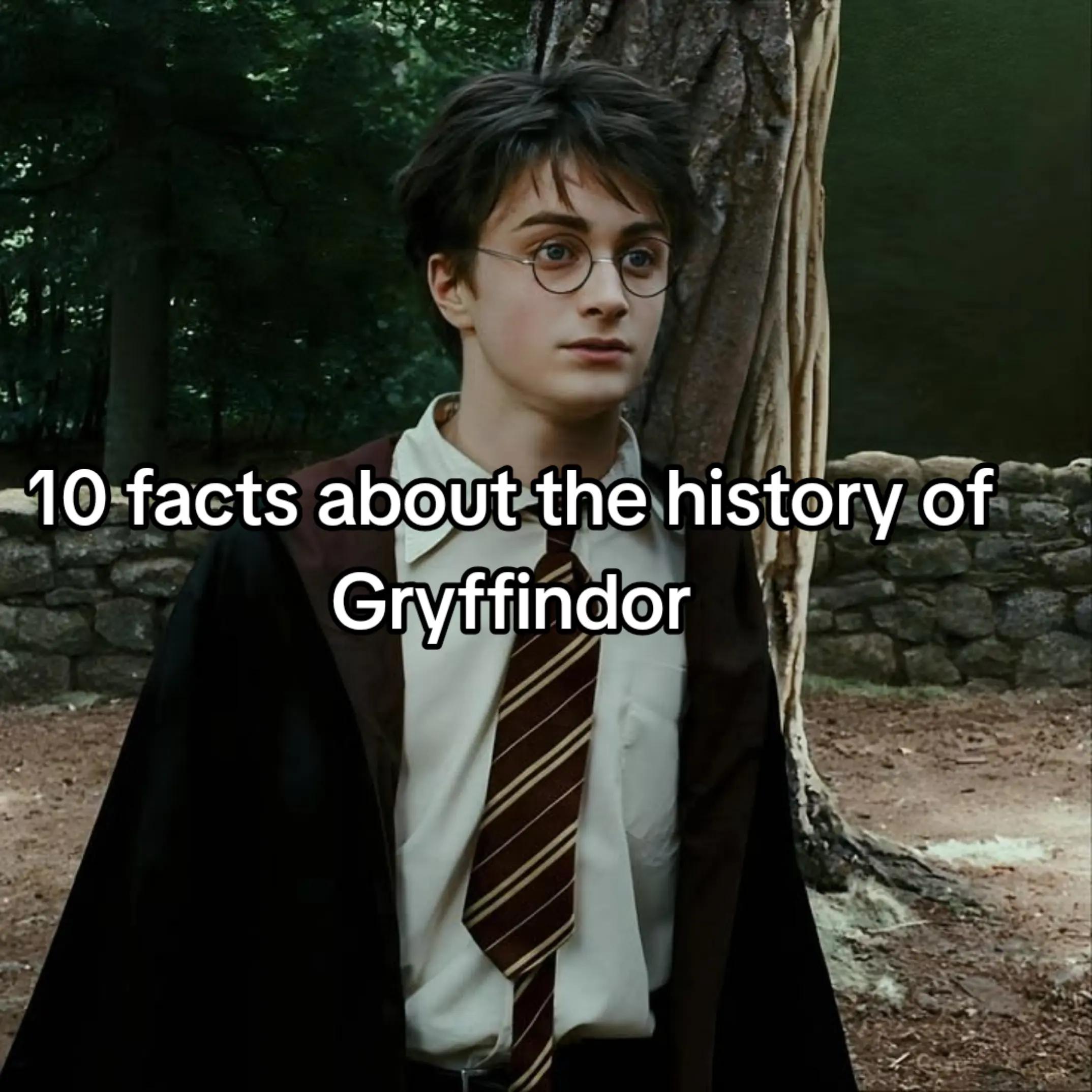 @Gryffindor Boy🦁