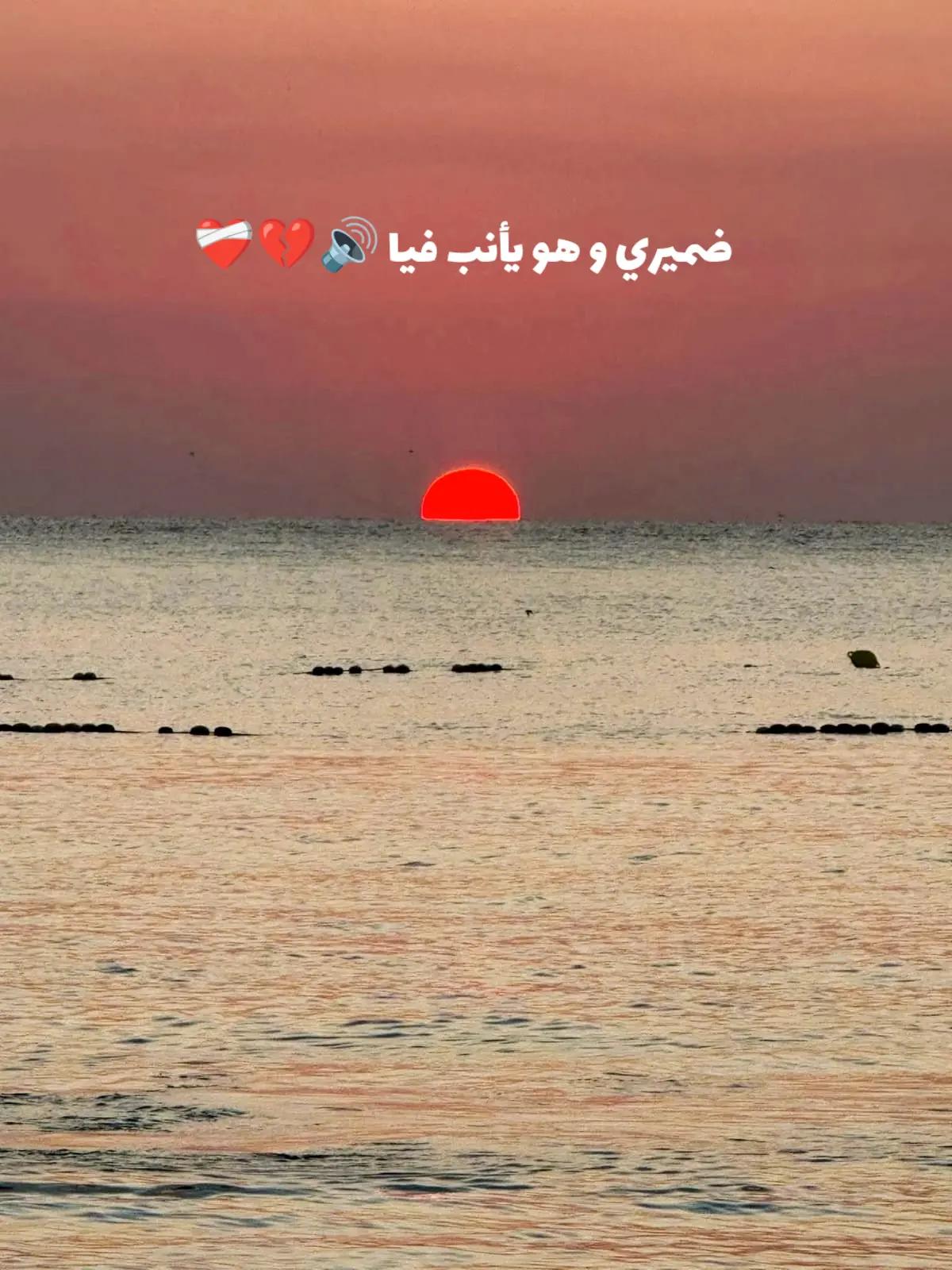@Jelassi Nizar