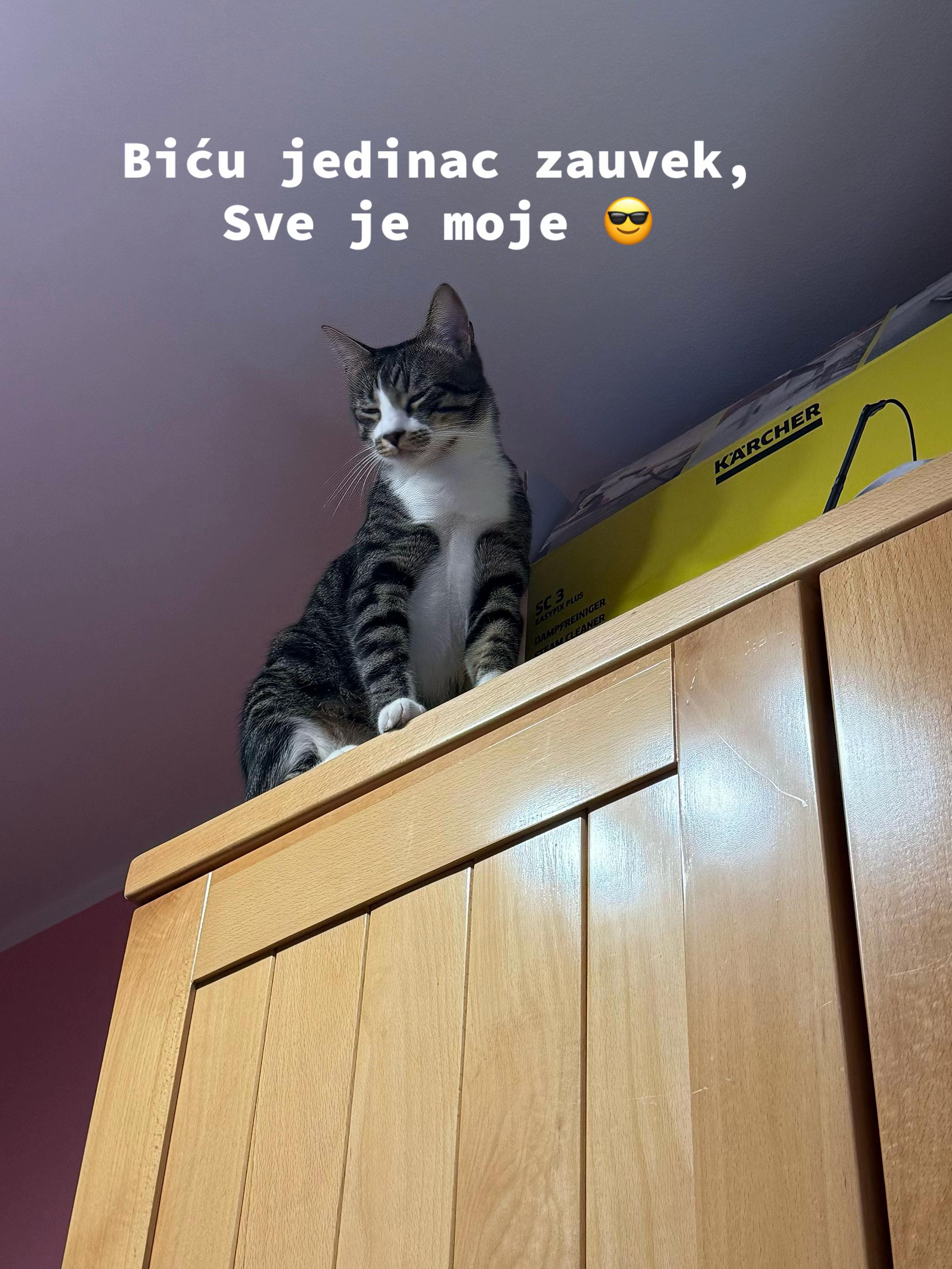 @Srećko & Rista 🐈⬛