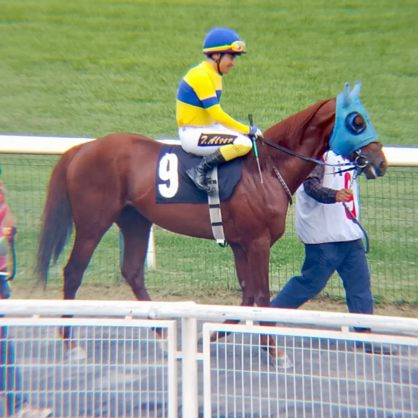 @brs horse racing