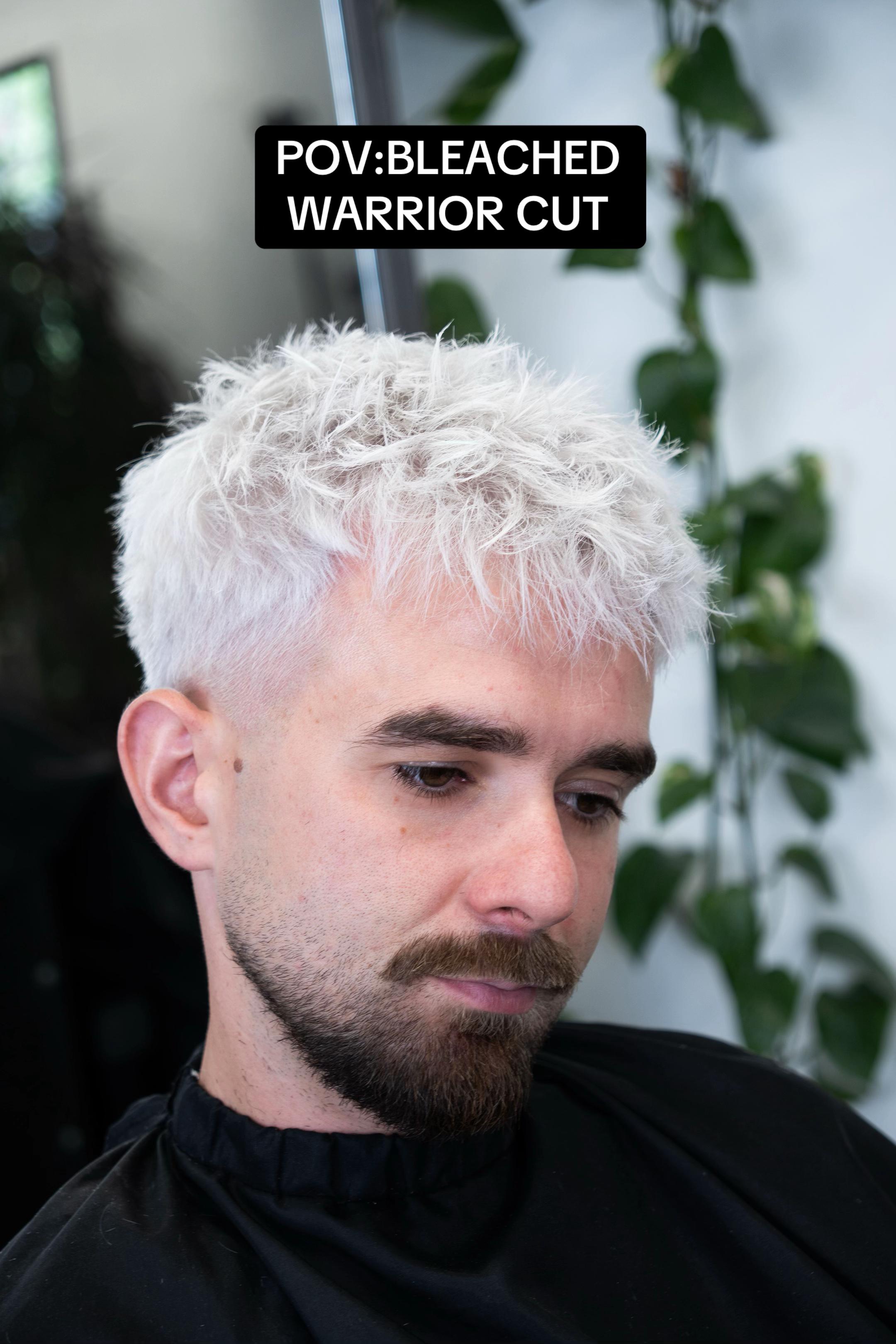 @Artlessdog
