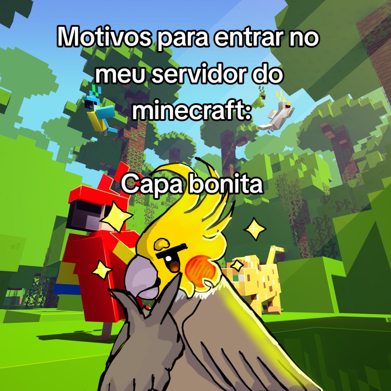 @Calopsita