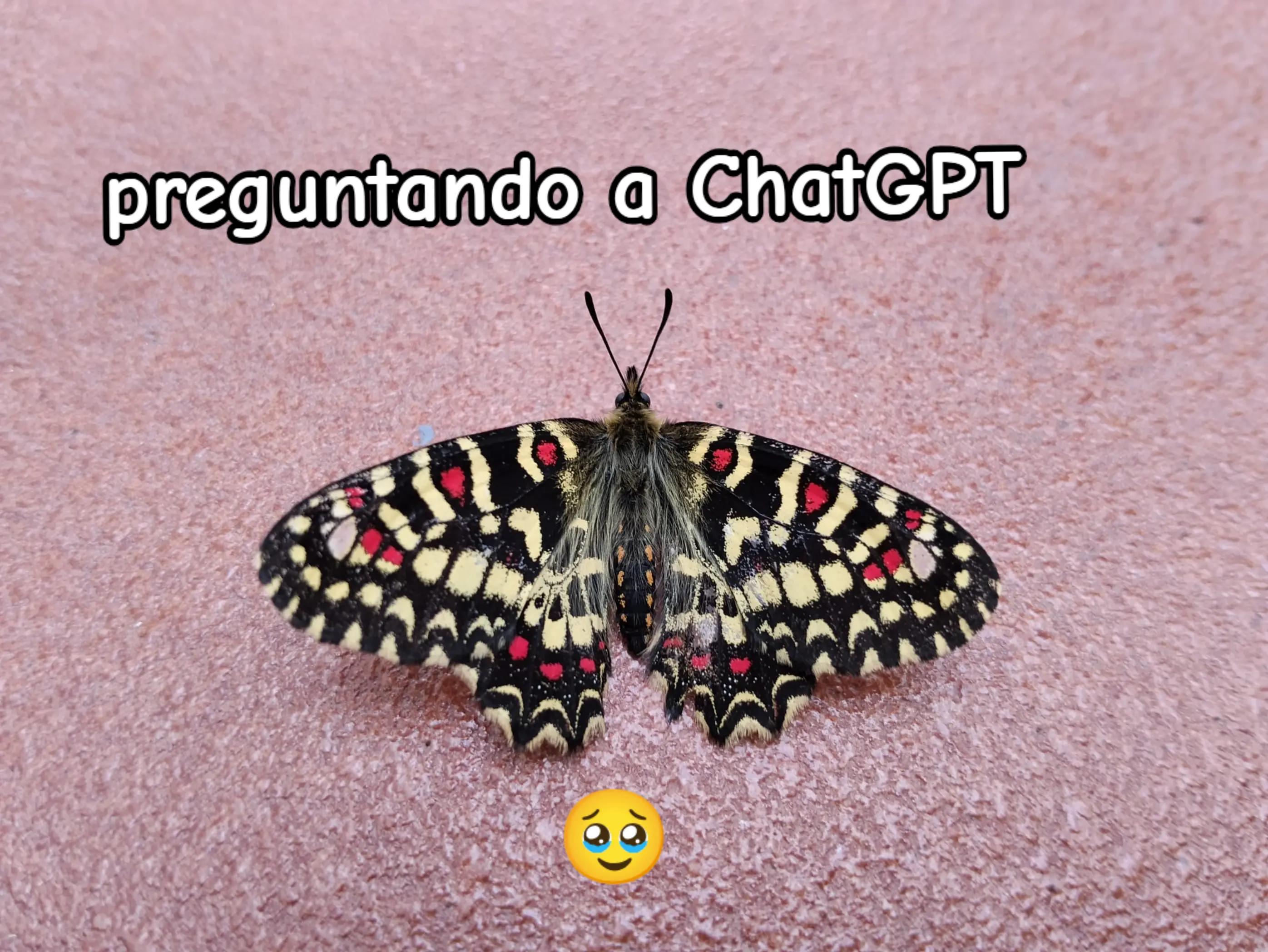@Eri