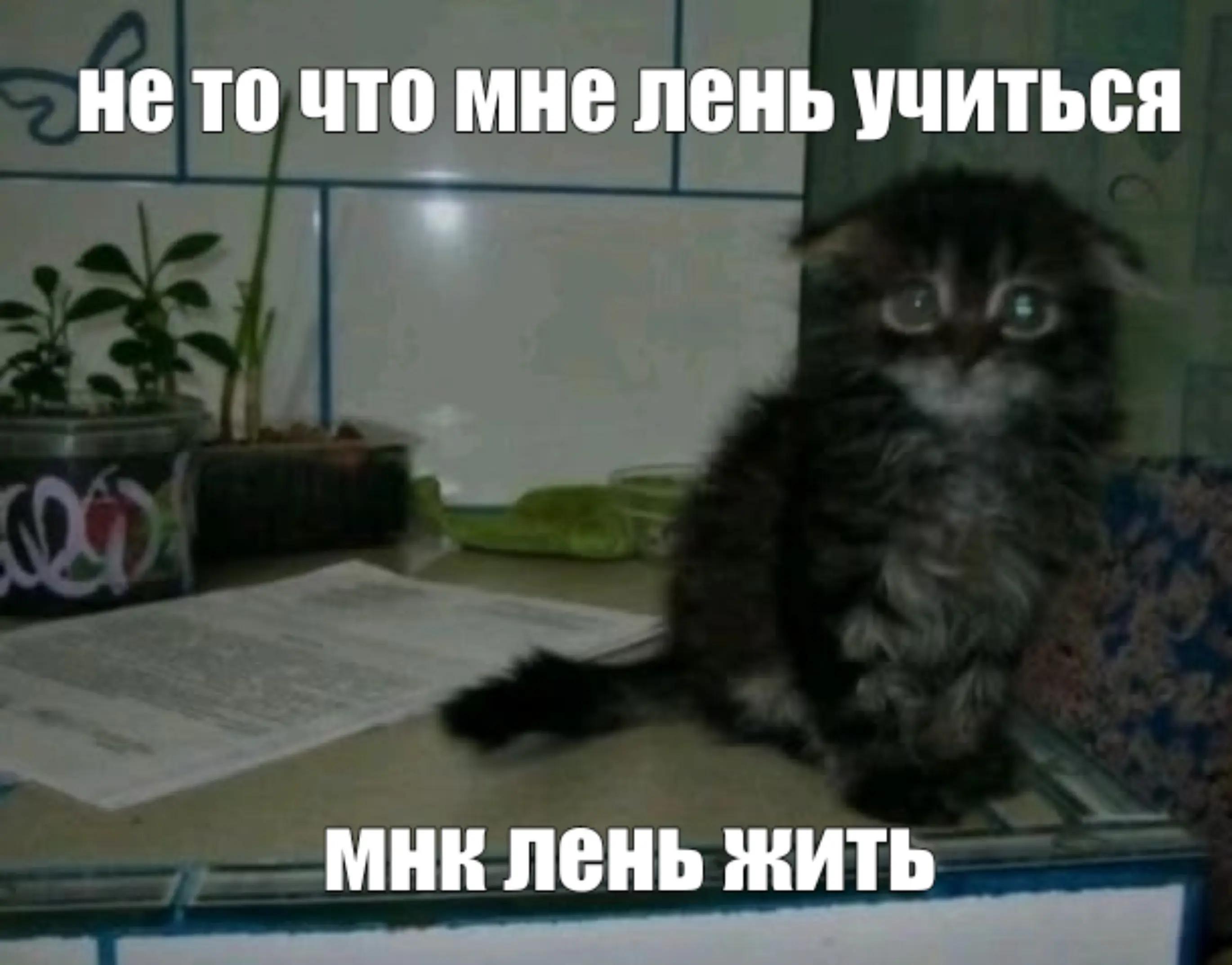 @Рикуся
