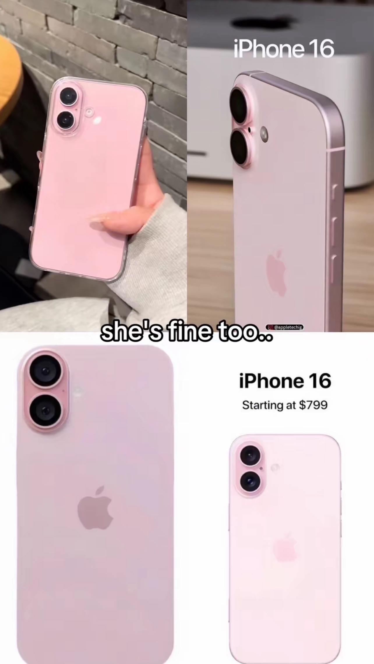 @ipostramdomsvids1z