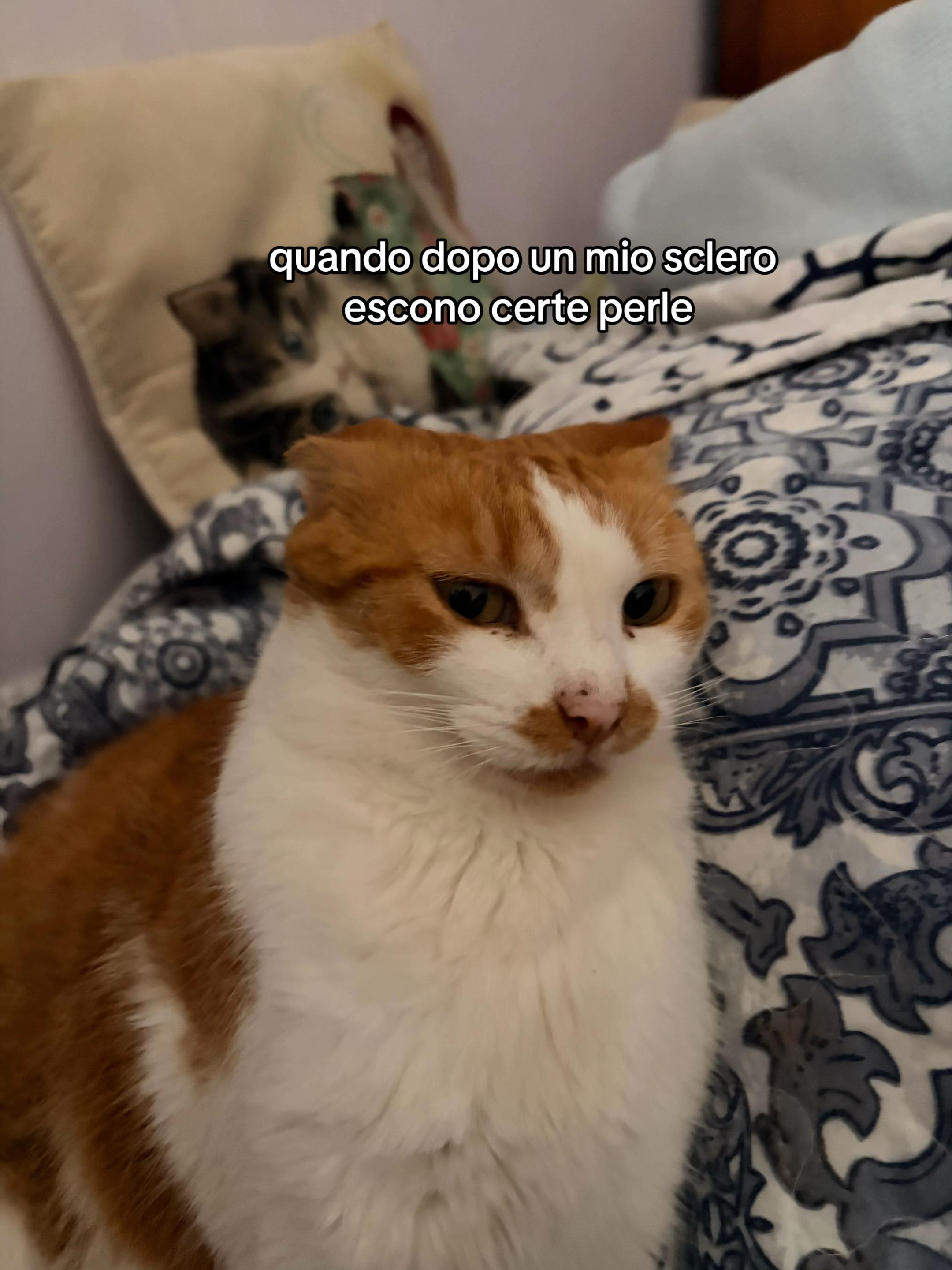 @cesca🐆