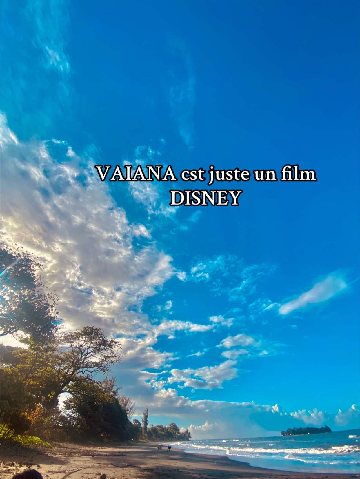 @tua_wesh