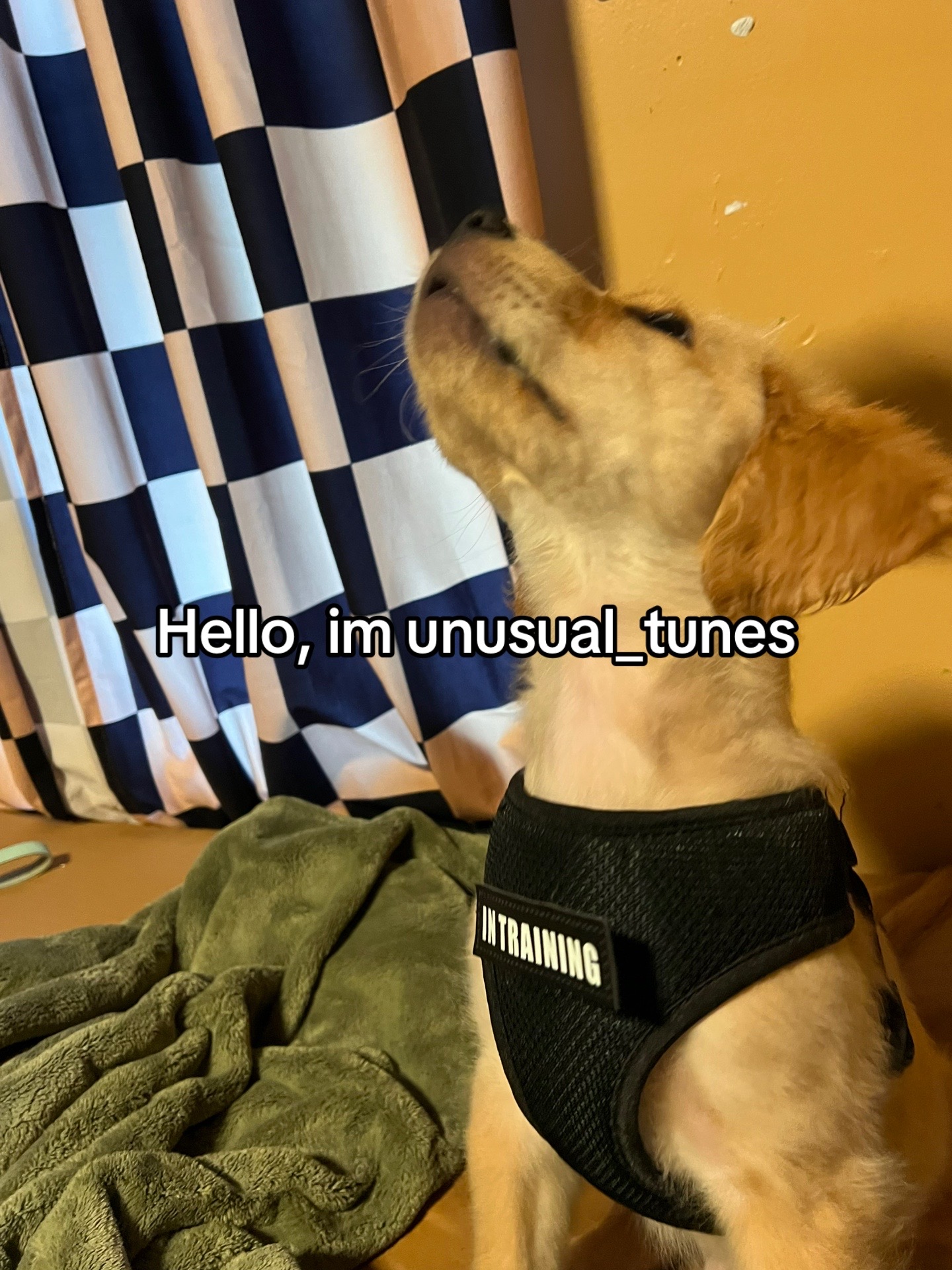 @unusual_tunes