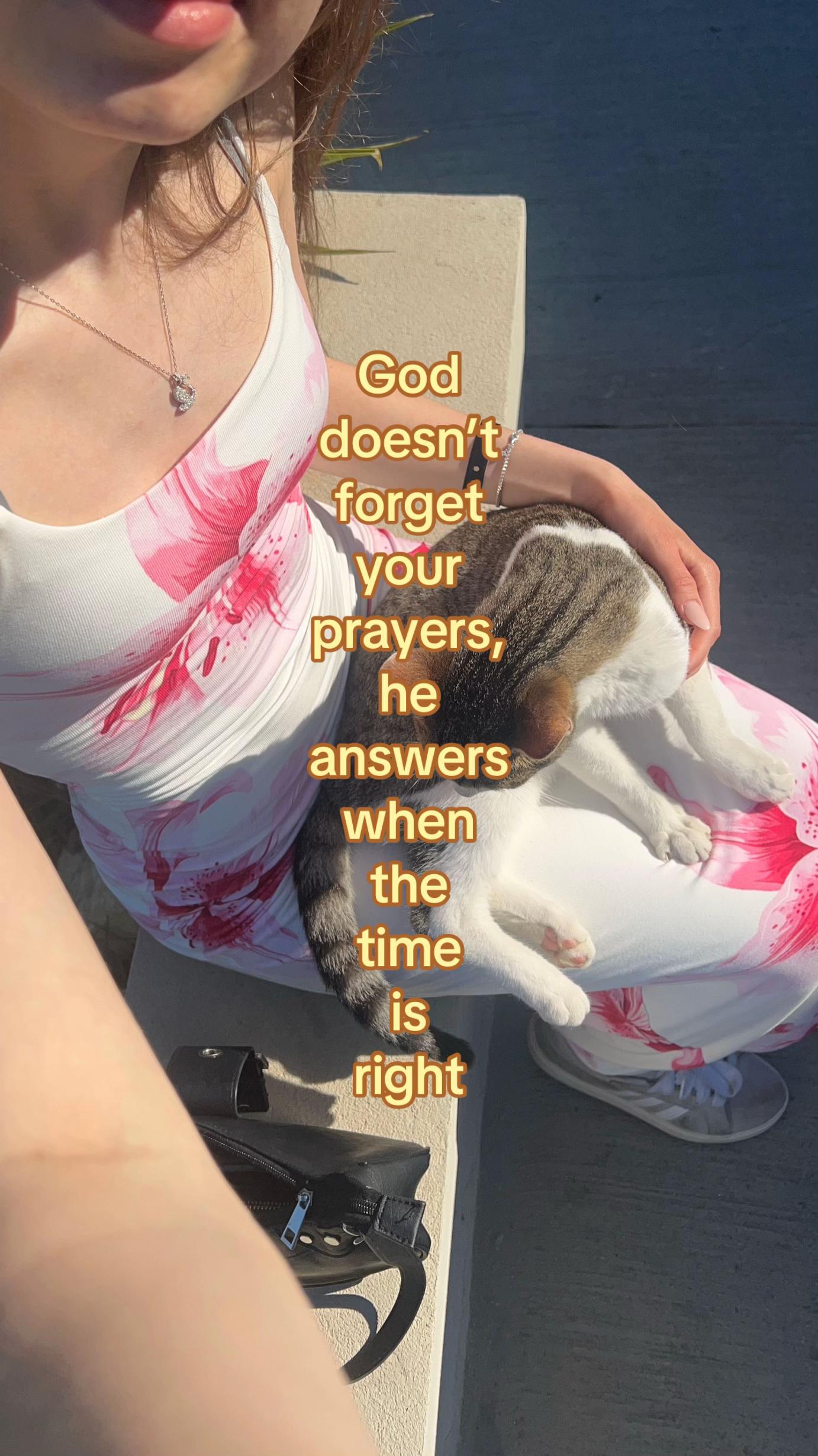@ℰ 𝓋 𝑒 𝓁 𝓎 𝓃 &dagger;
