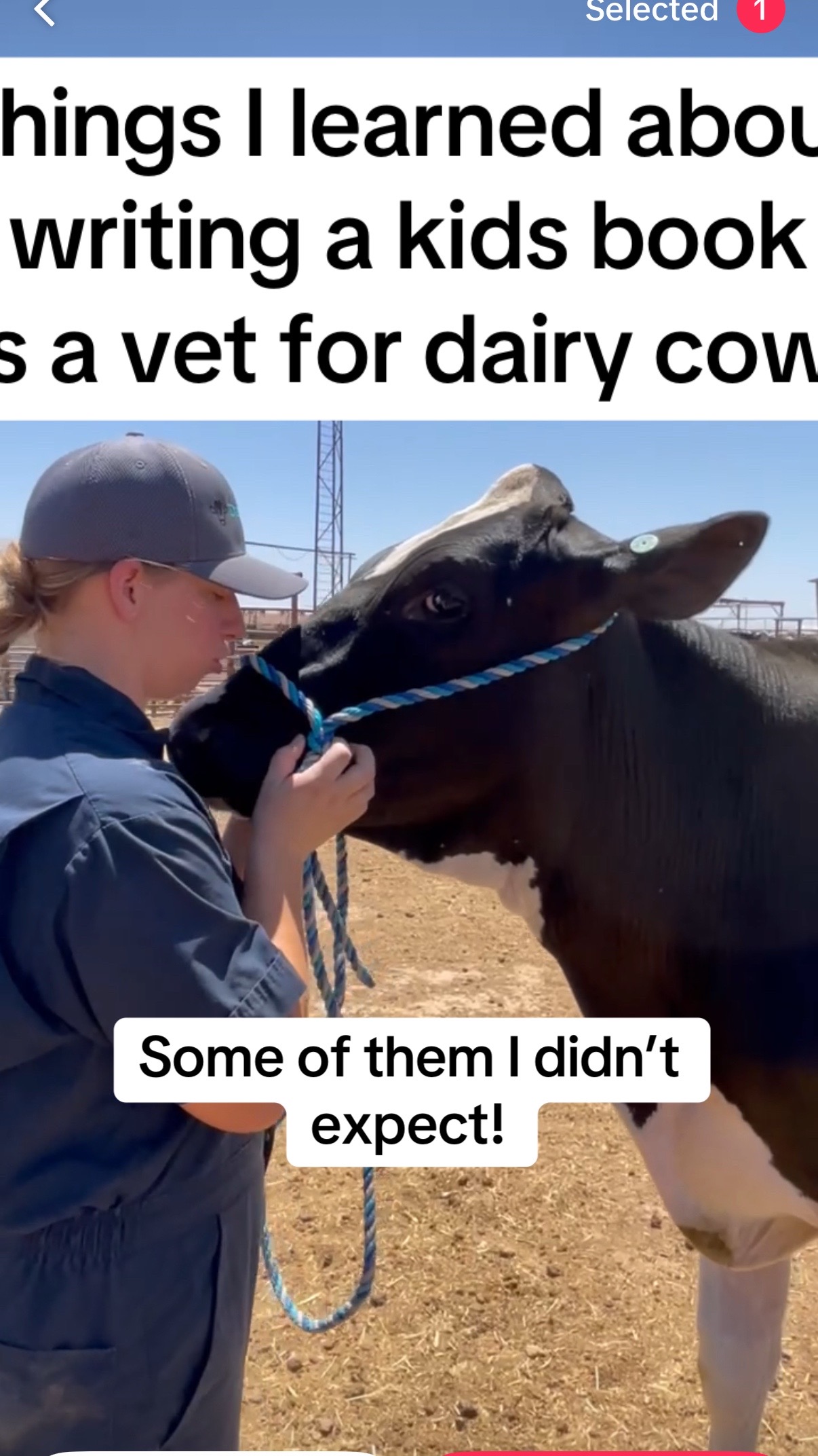@Dairy Vet Dr. Michelle