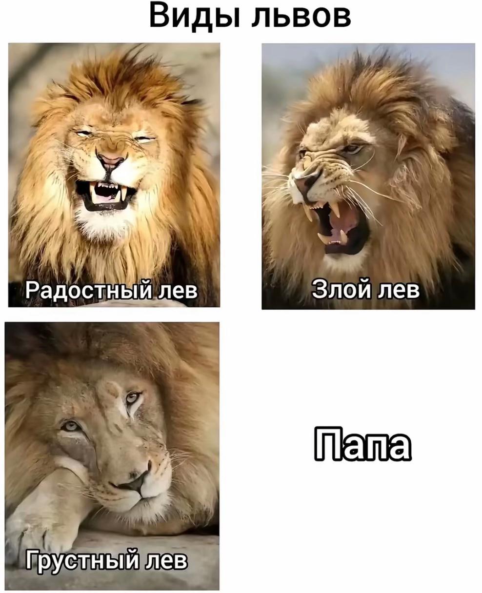 @savkin