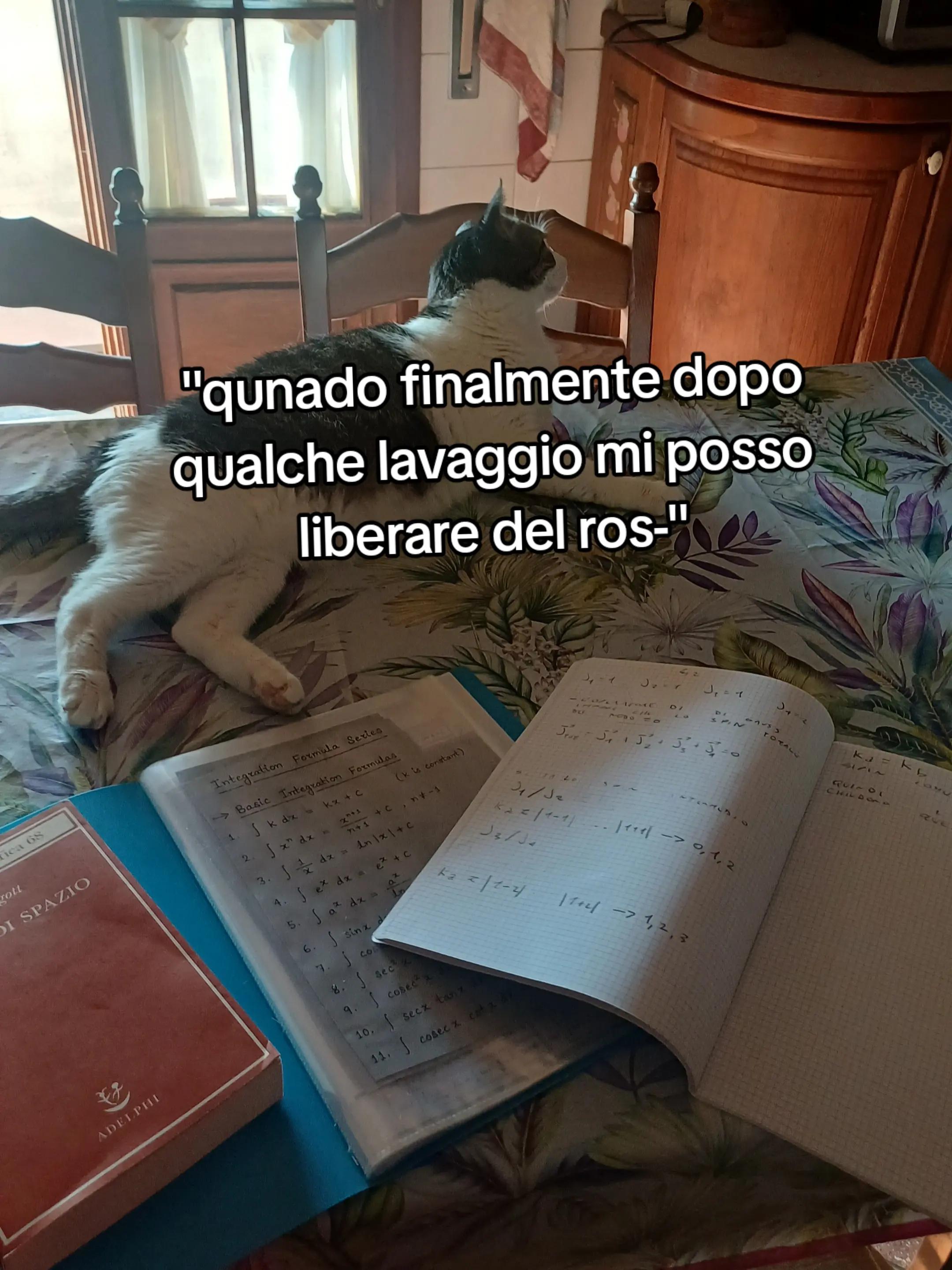 @🌙saretta🌙