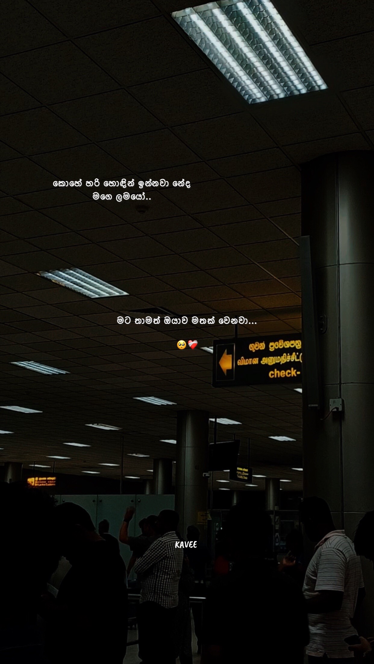 @𝑲 𝑨 𝑽 𝑬 𝑬 🪼