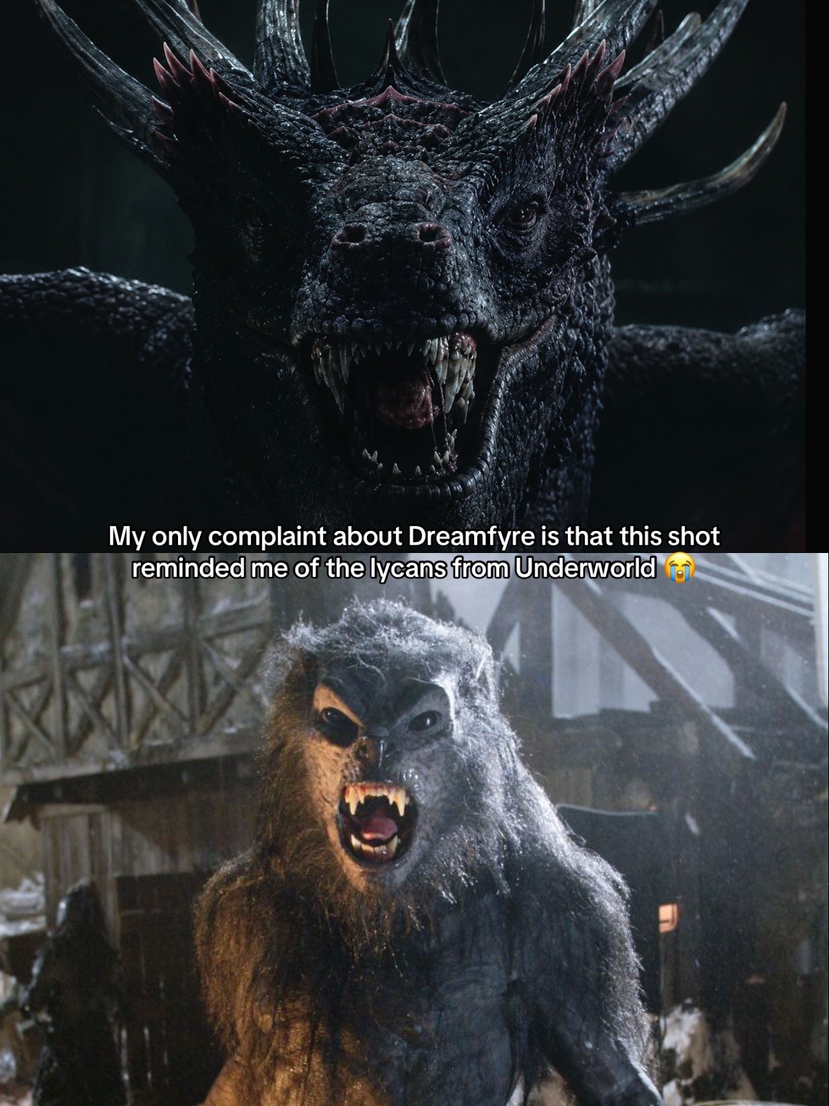 @☀︎𓋼Virgoat𖤐☾