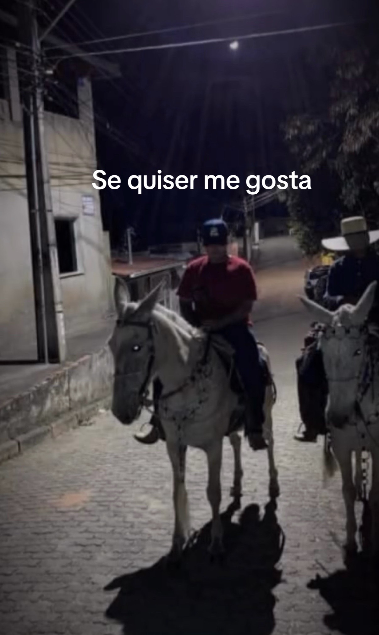 @🐺🇧🇷mineirinho🇧🇷🐺