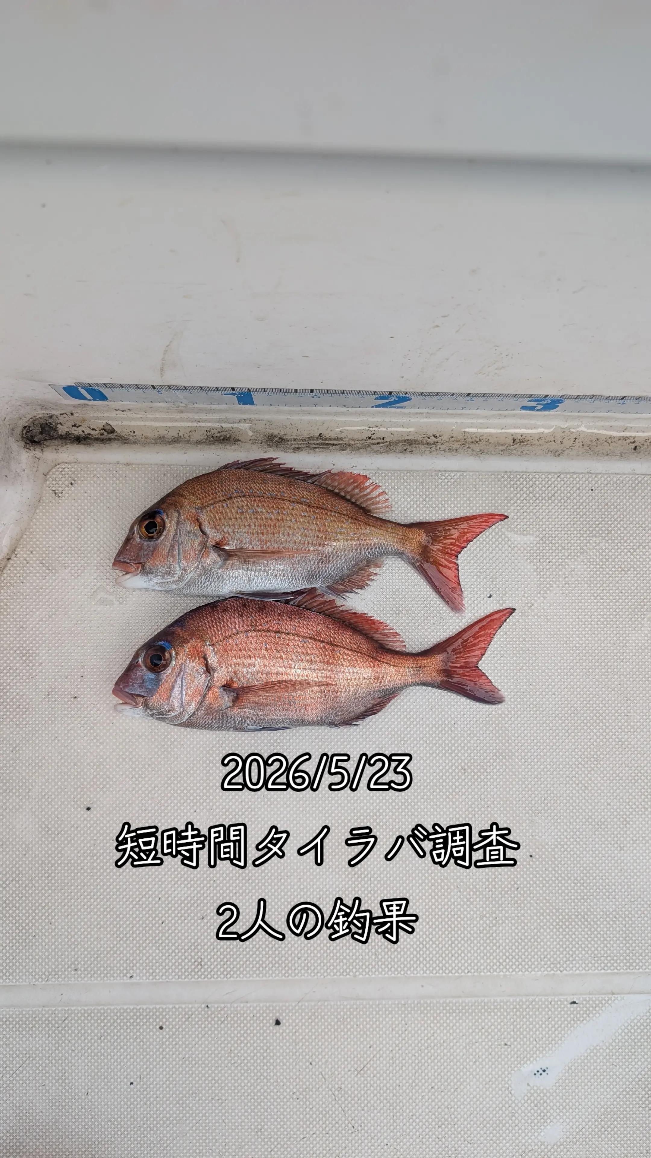 @âïžðè¹ã¡ããðâïž