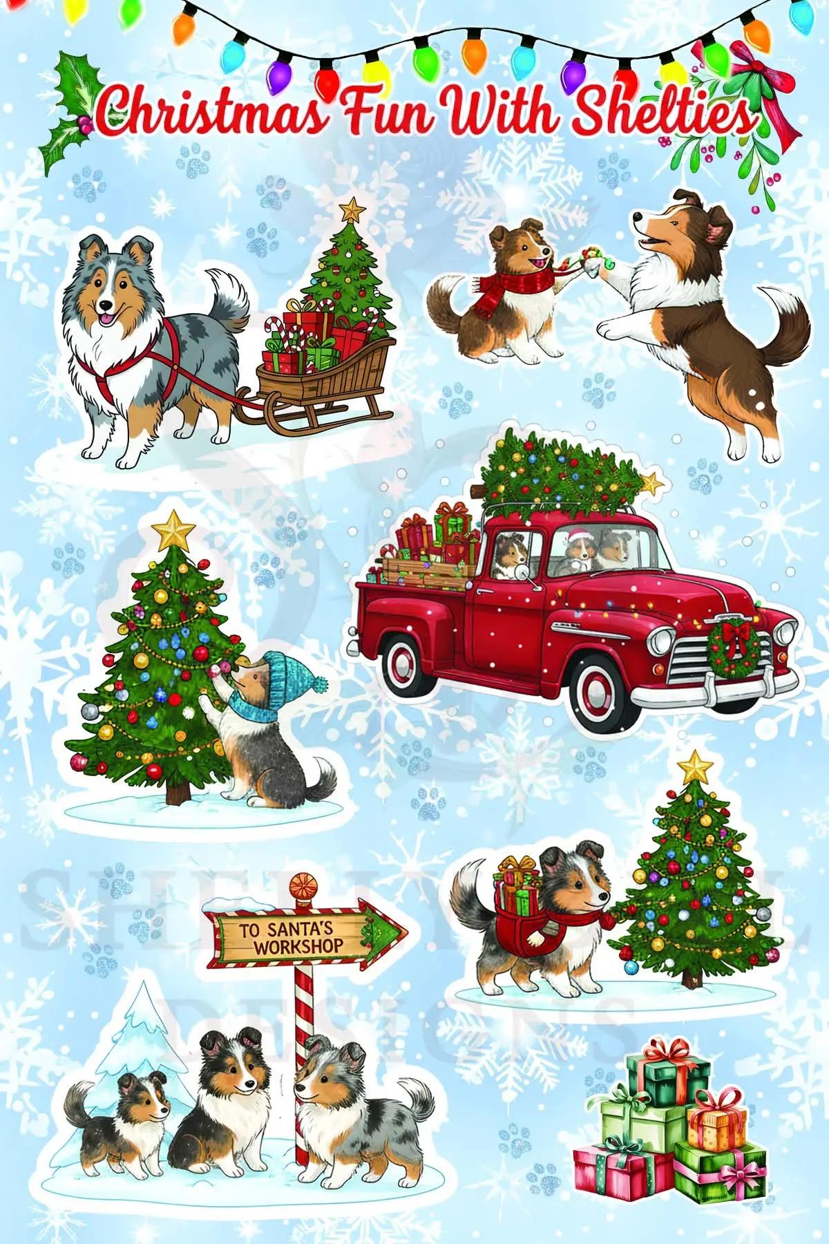 @Shellys-Loveable-Mi-Shelties