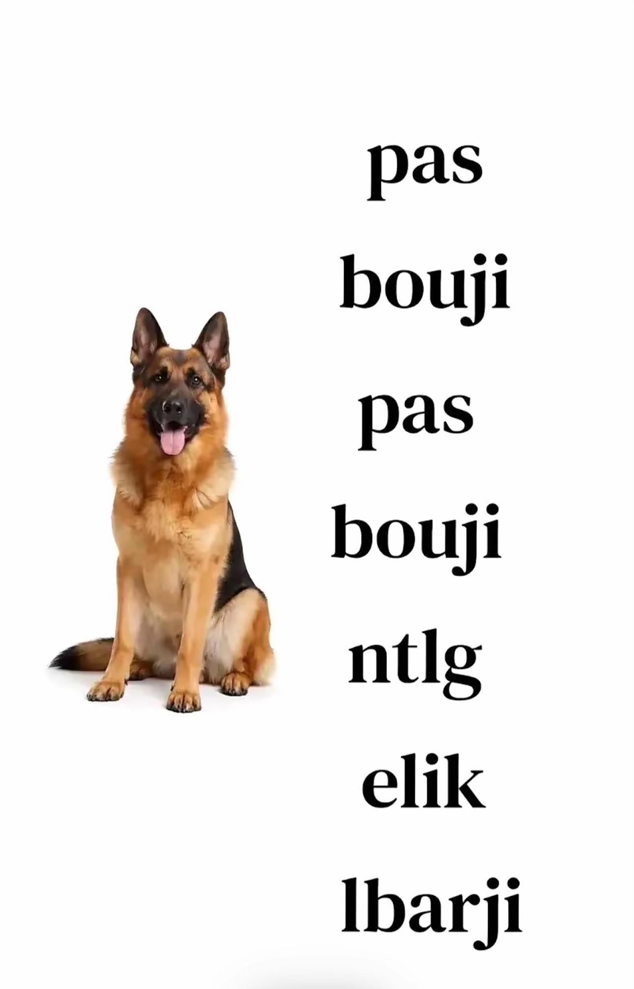 @๐ธ๐๐๐_โก?๐ค๐ฆข