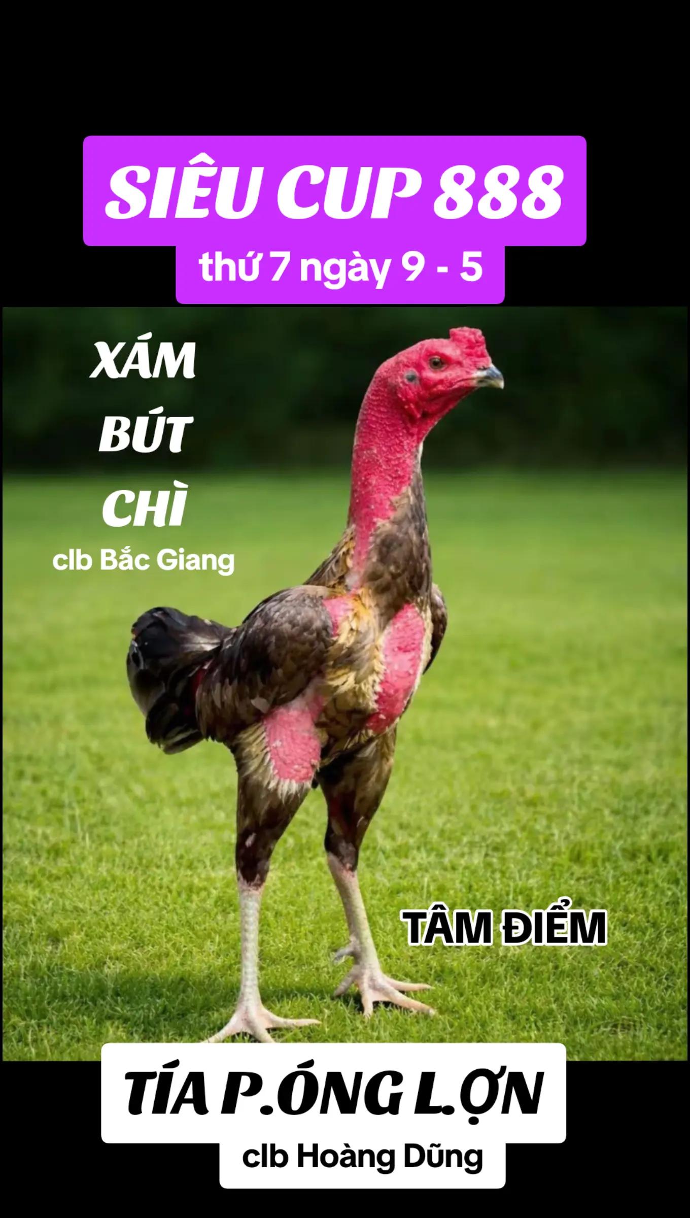 @nông thành trung